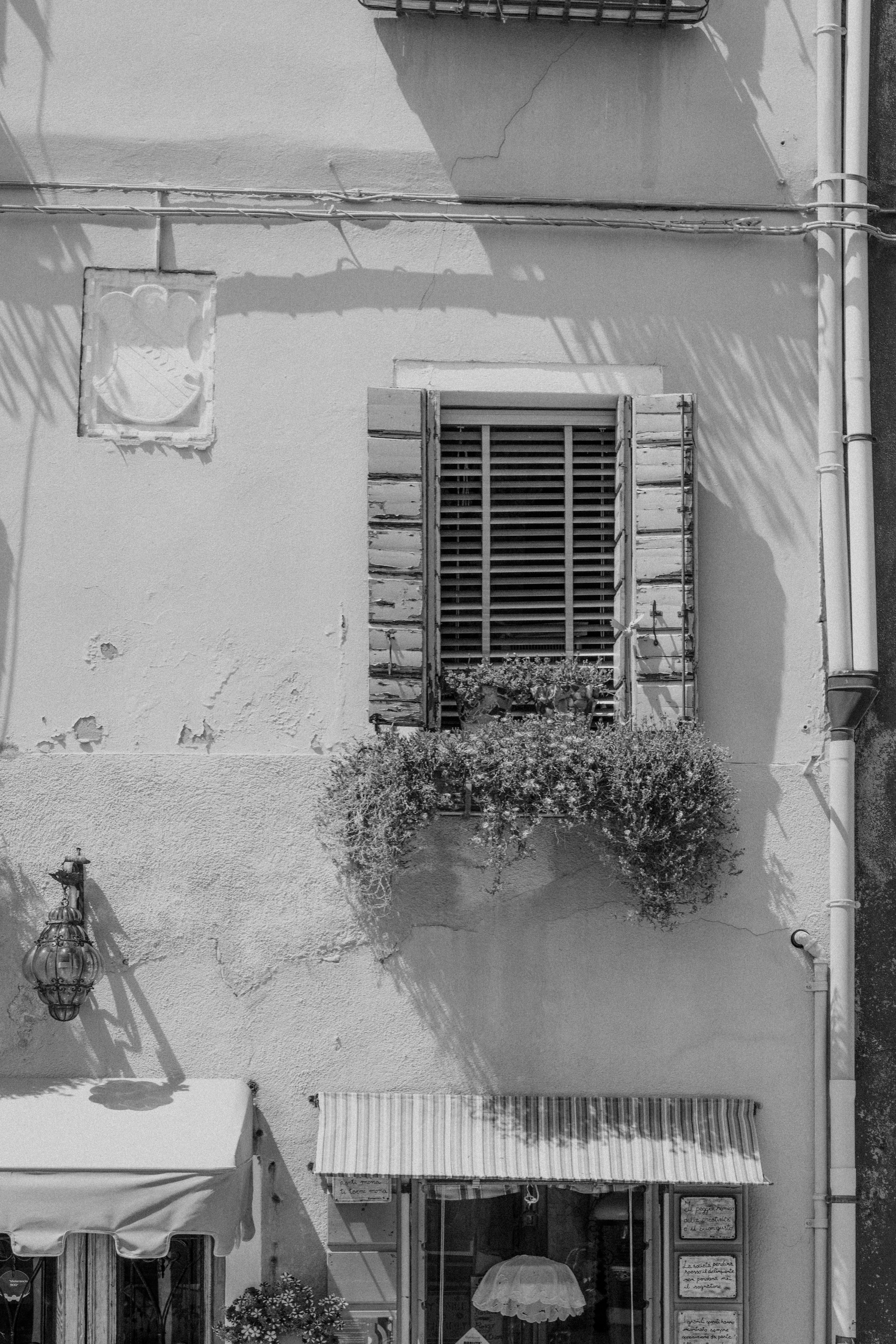 Photo by anniespratt