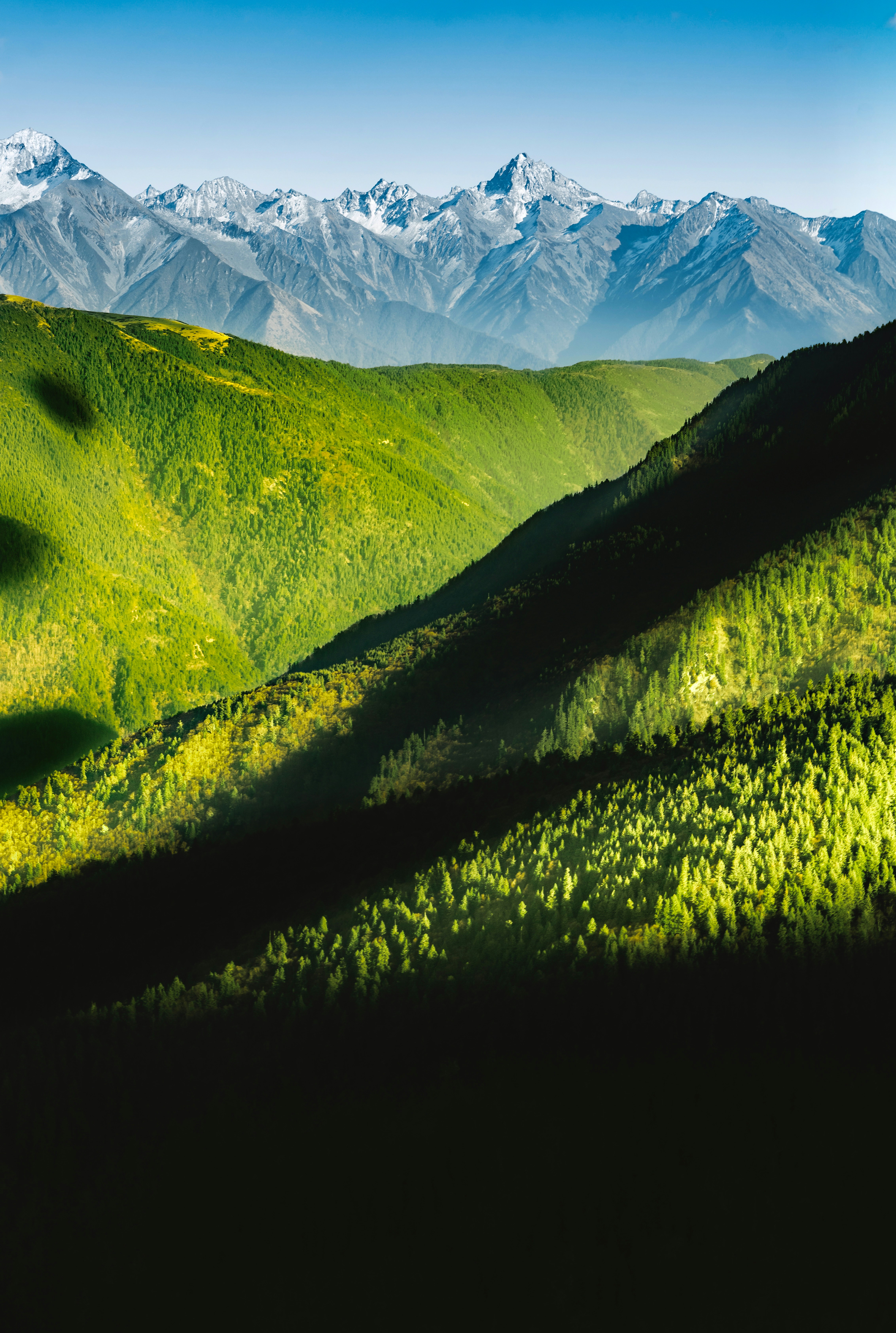 10 Ways to Reduce Carbon Footprint During Himalaya Eco Travel