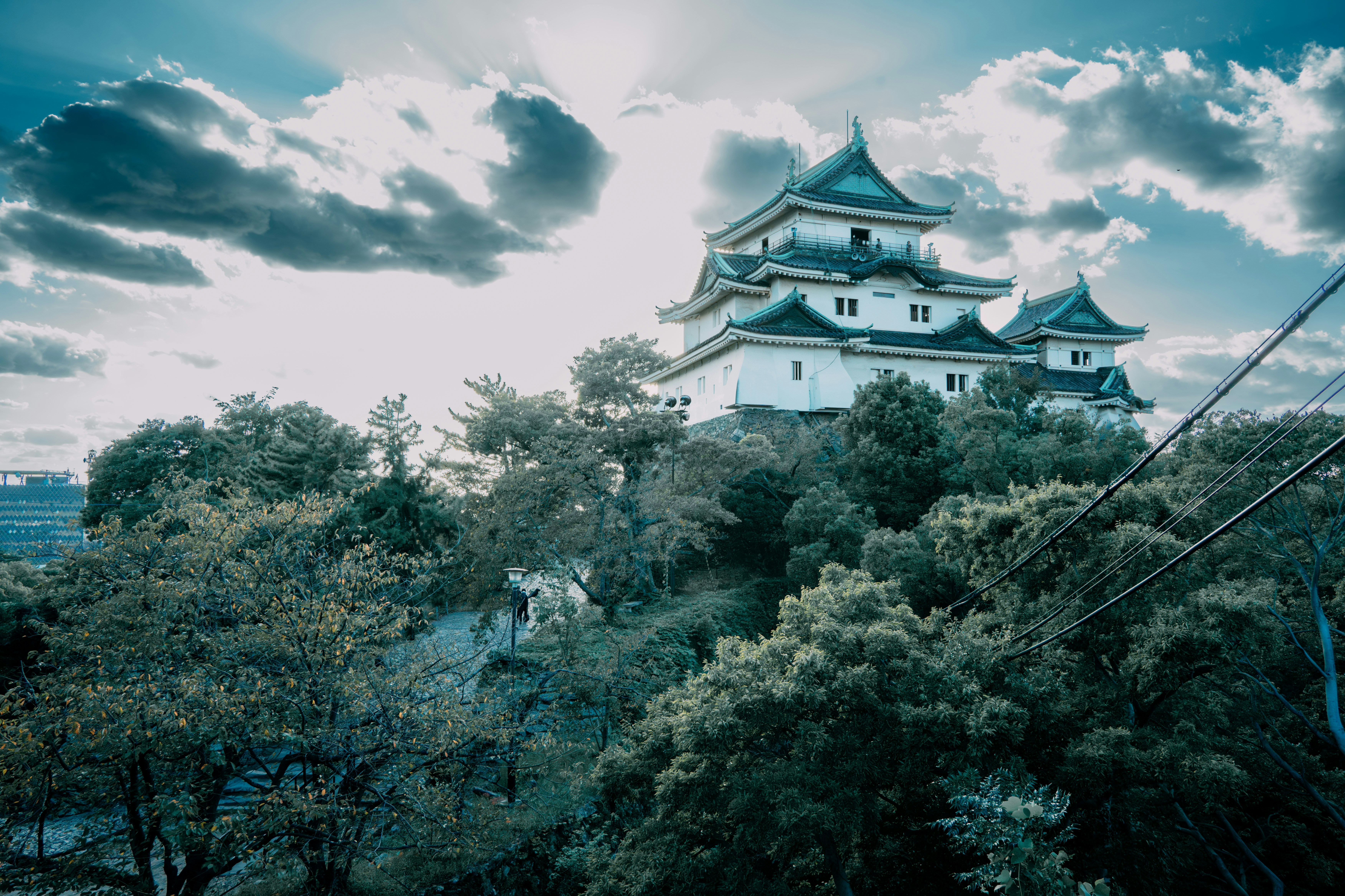 a tall white building sitting on top of a lush green forest