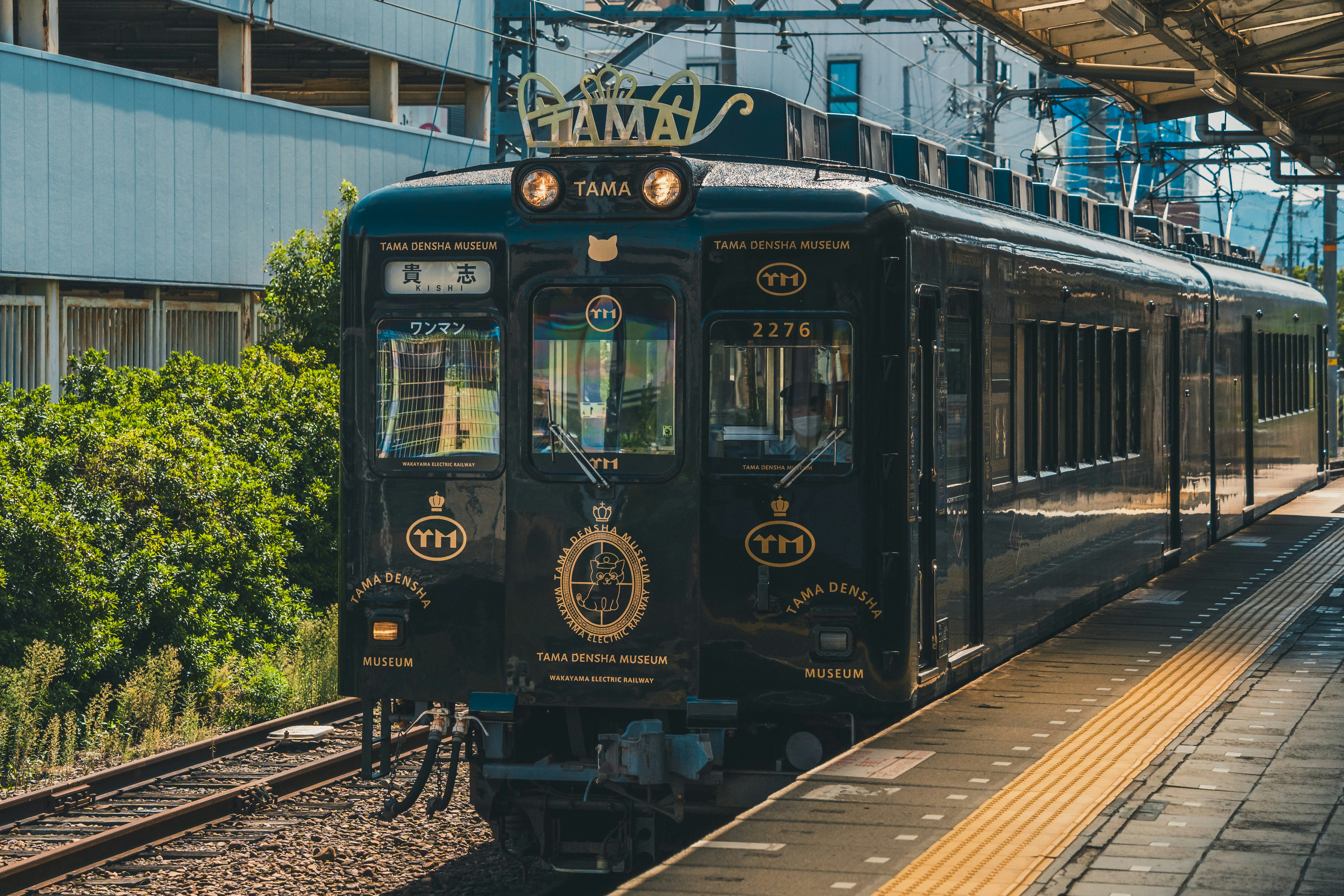 A black train pulling into a train station photo – Free Human Image on ...