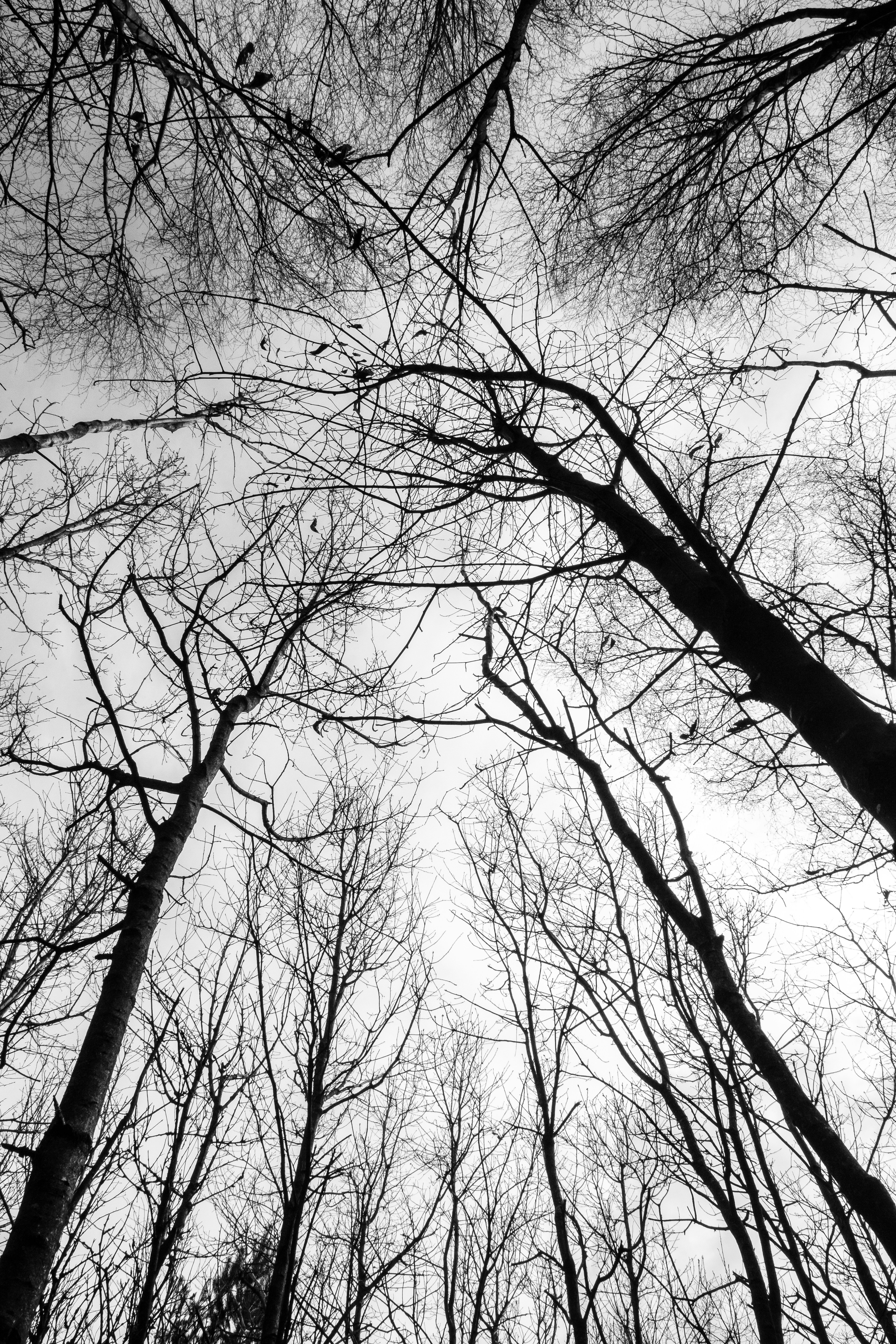 Photo by luke_photography