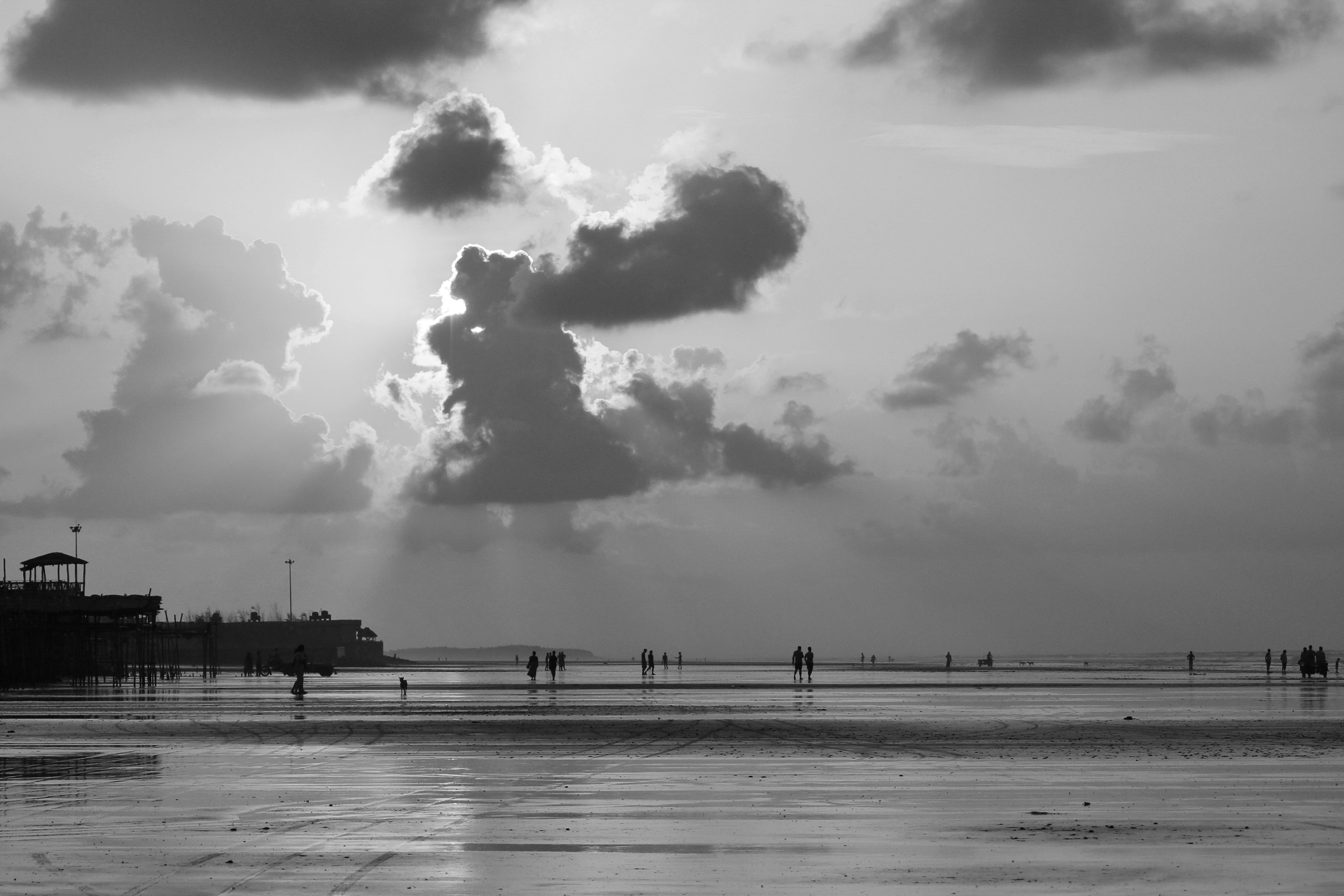 Photo by dibakar16roy