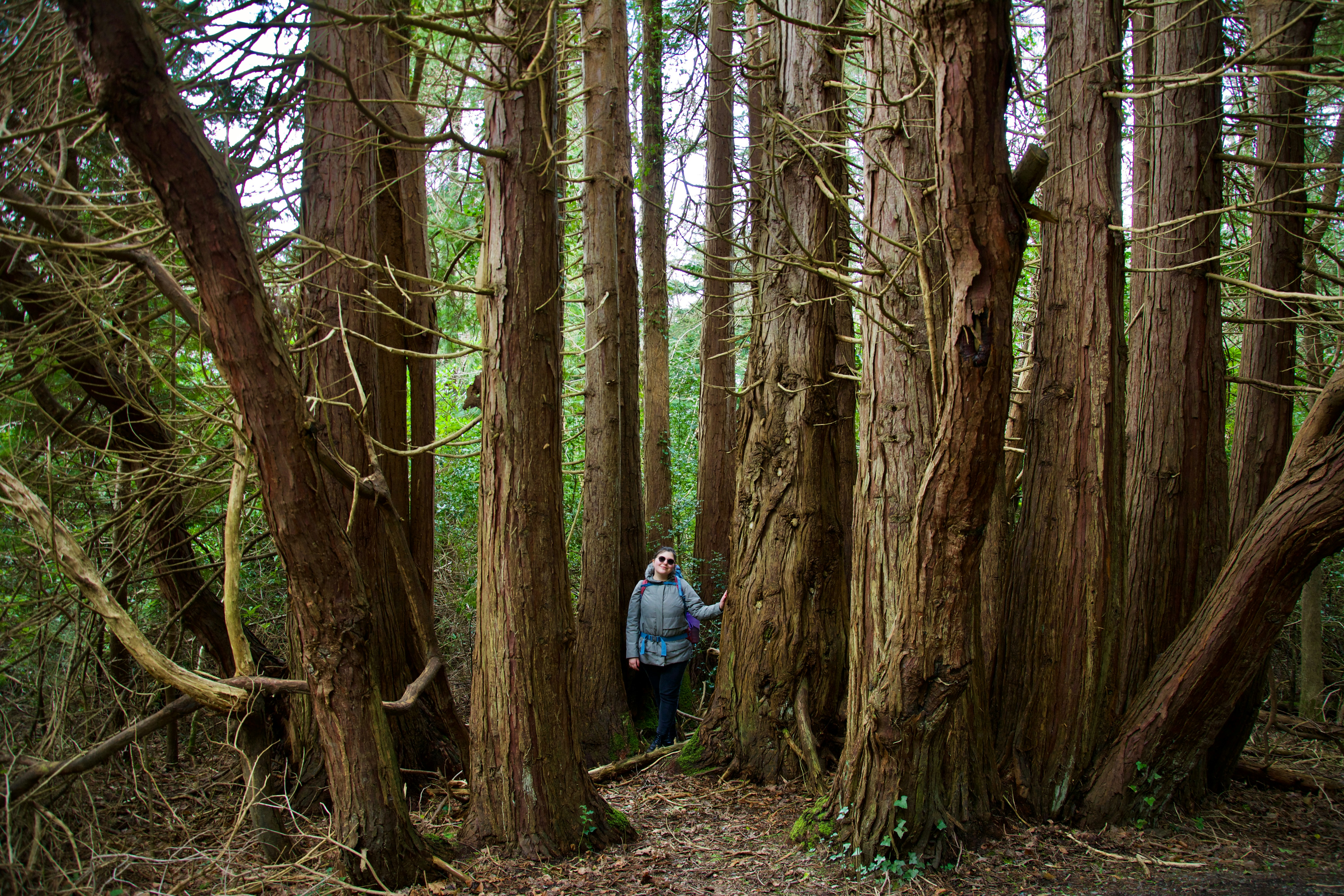 a woman standing in the middle of a forest