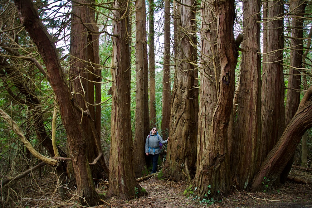 a woman standing in the middle of a forest