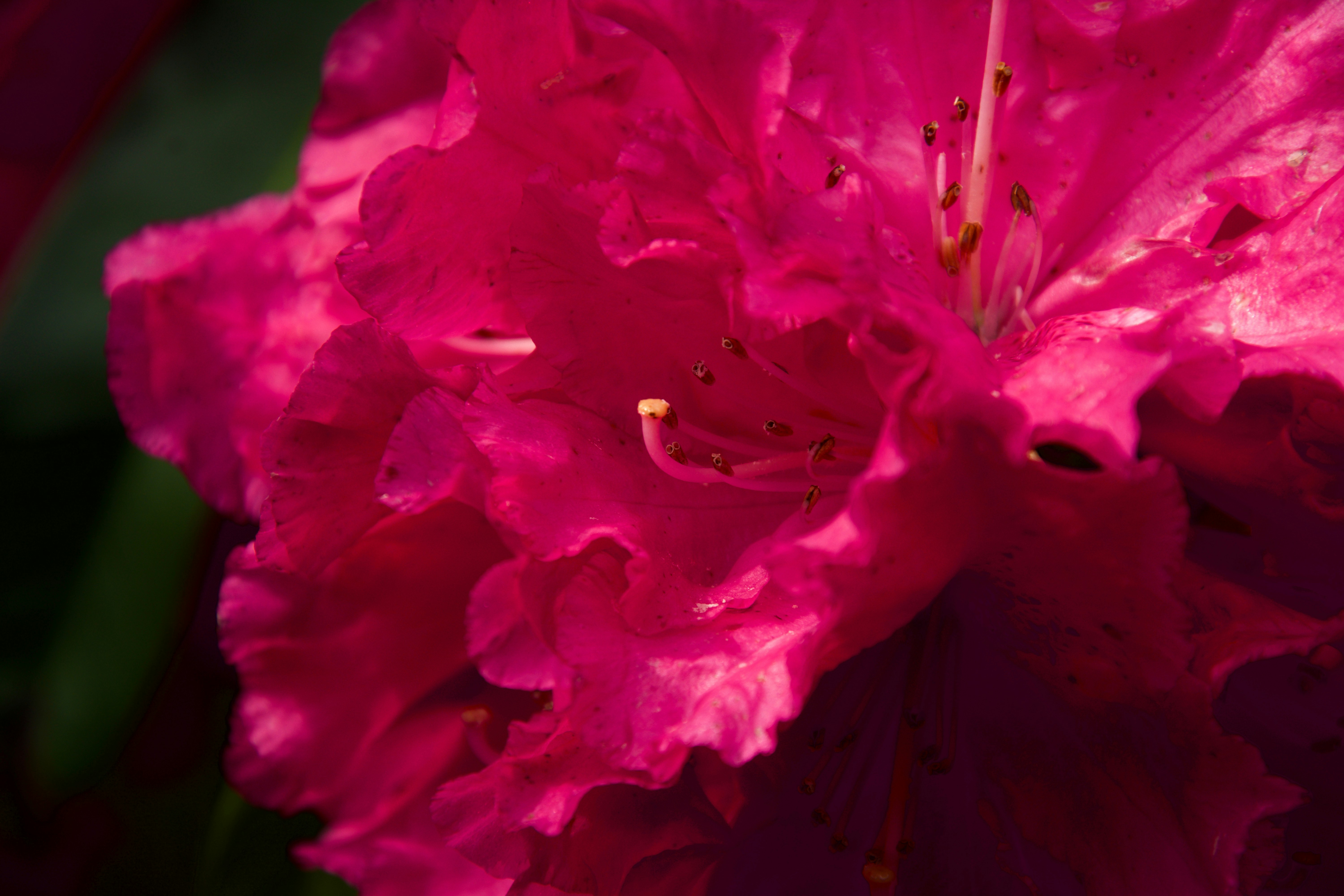 Photo by kalibermann