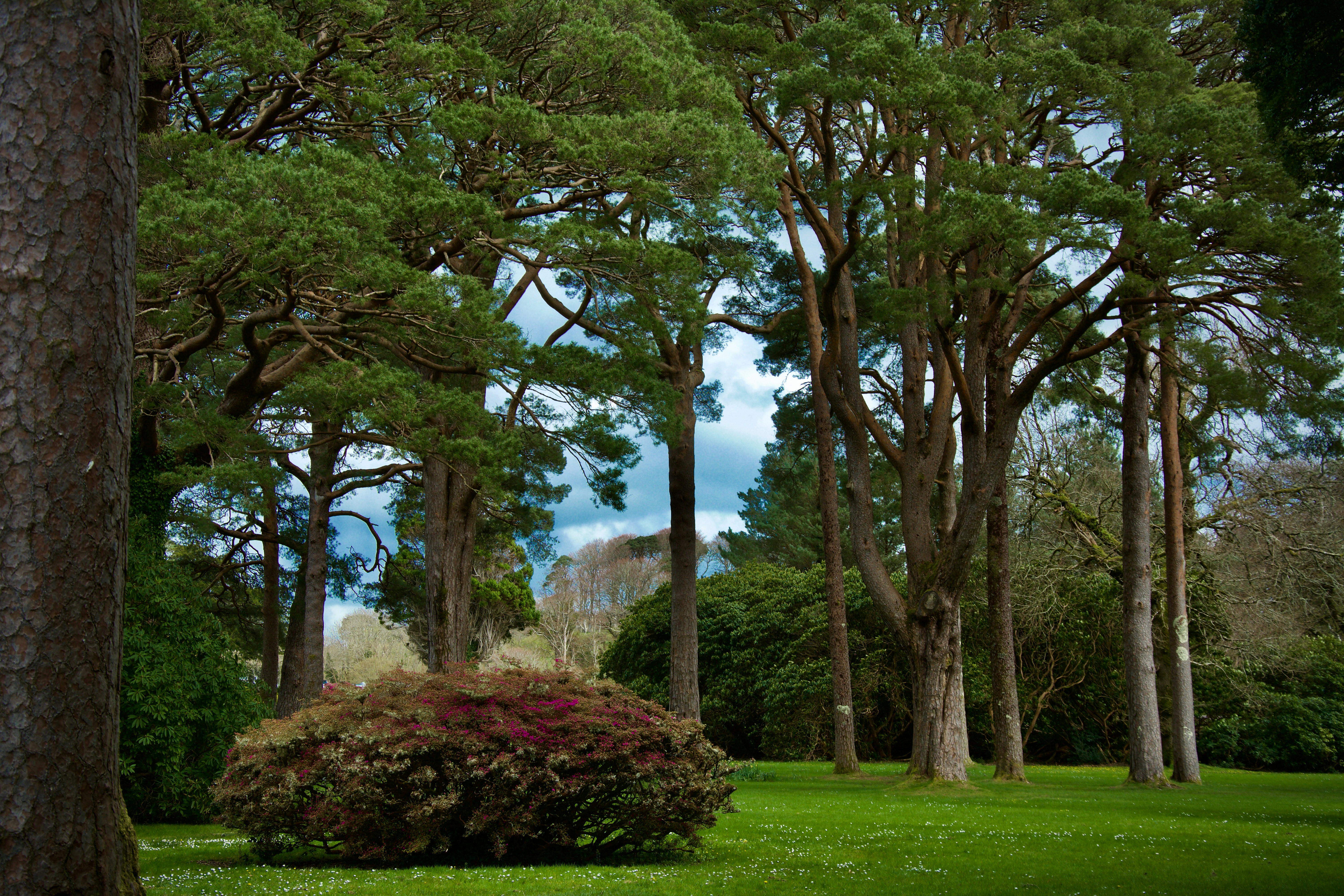 Killarney – Accommodation & Where to Stay