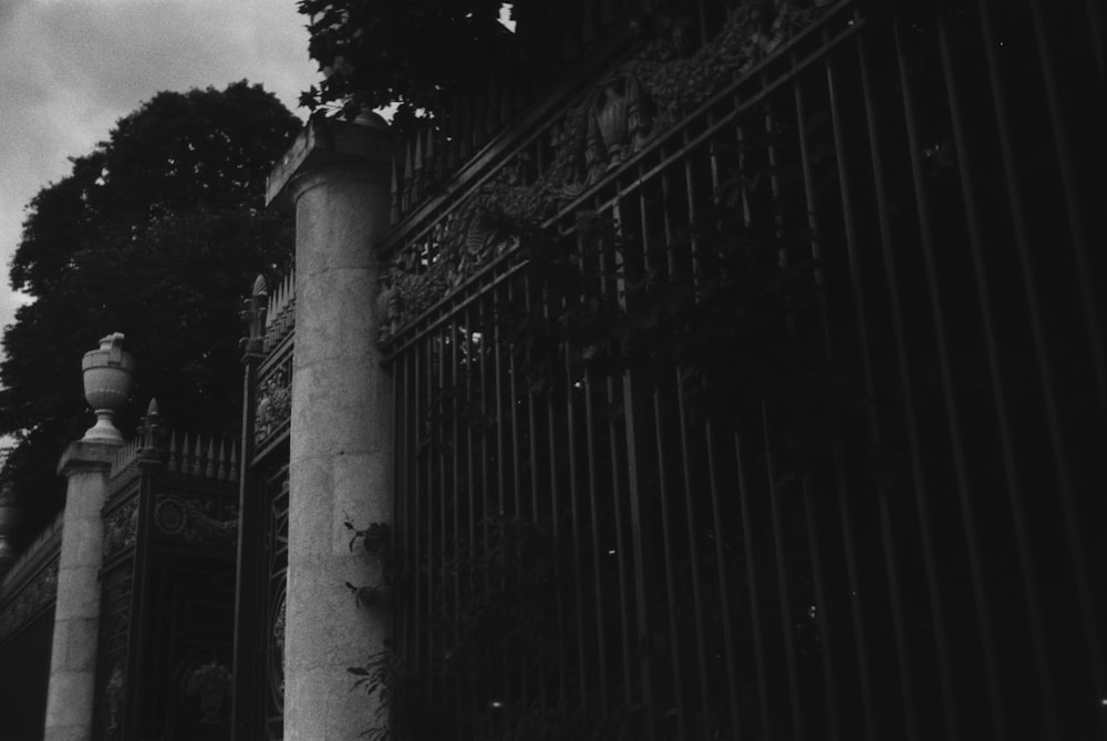 a black and white photo of an iron fence