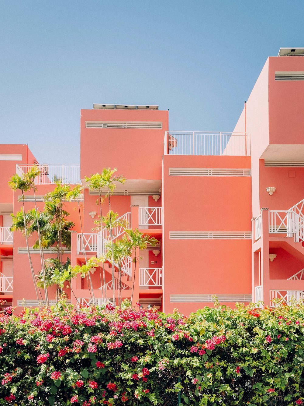 a pink building with pink flowers in front of it