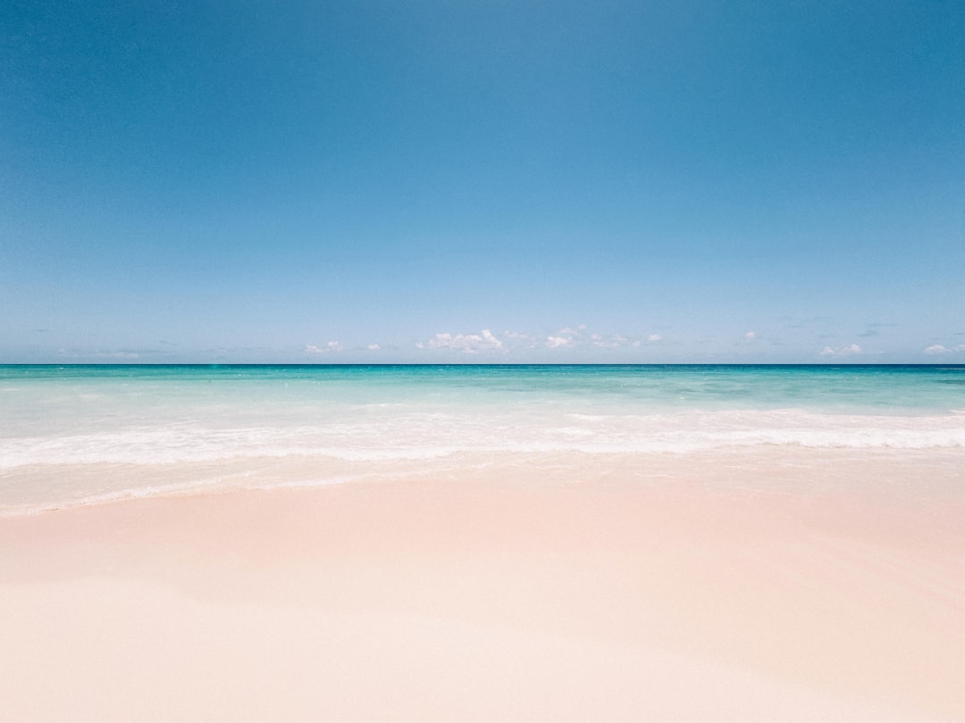 a sandy beach with a clear blue sky,