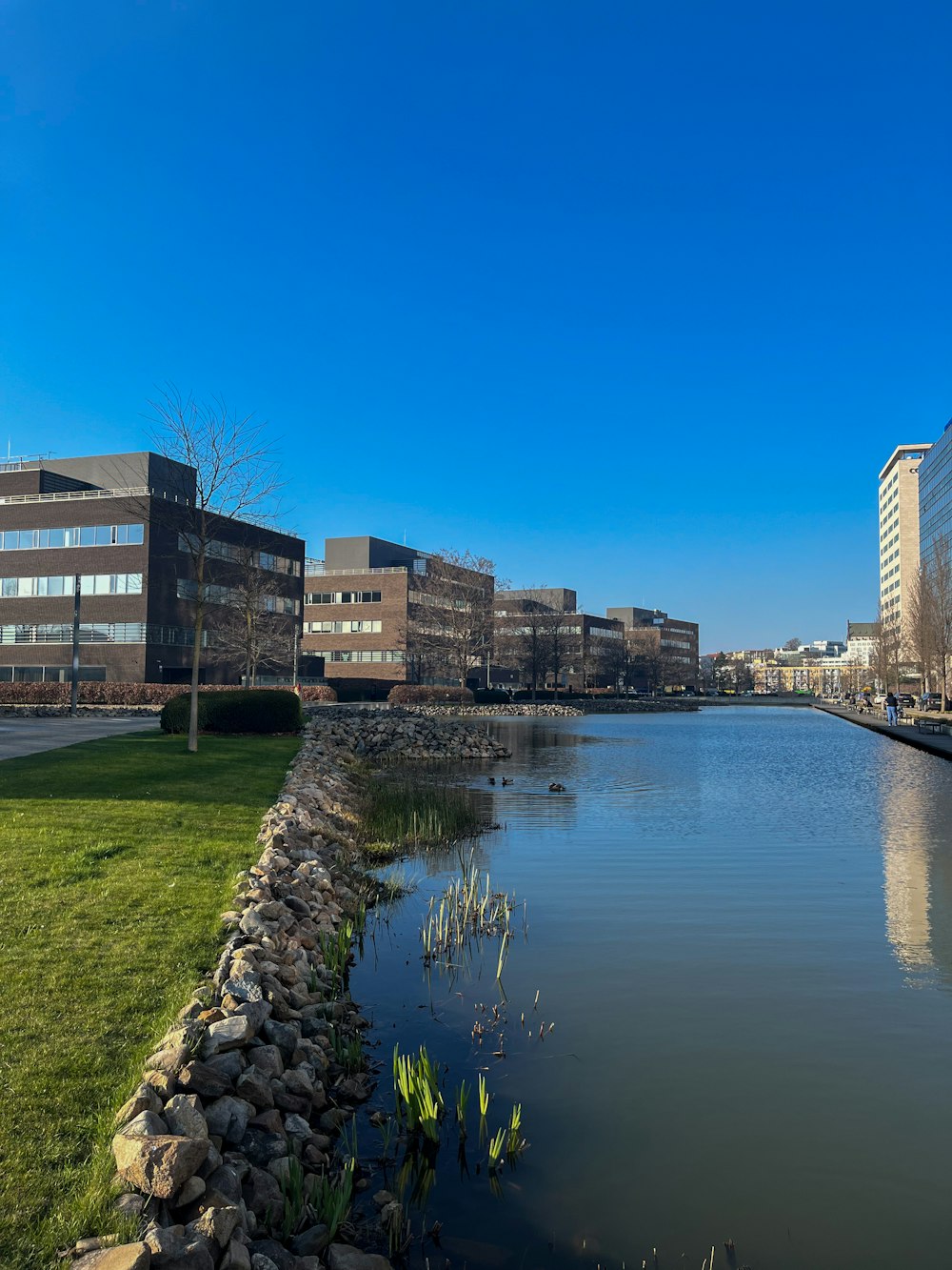 a body of water with buildings in the background