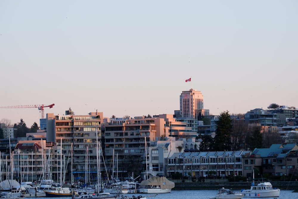 a harbor filled with lots of boats next to tall buildings