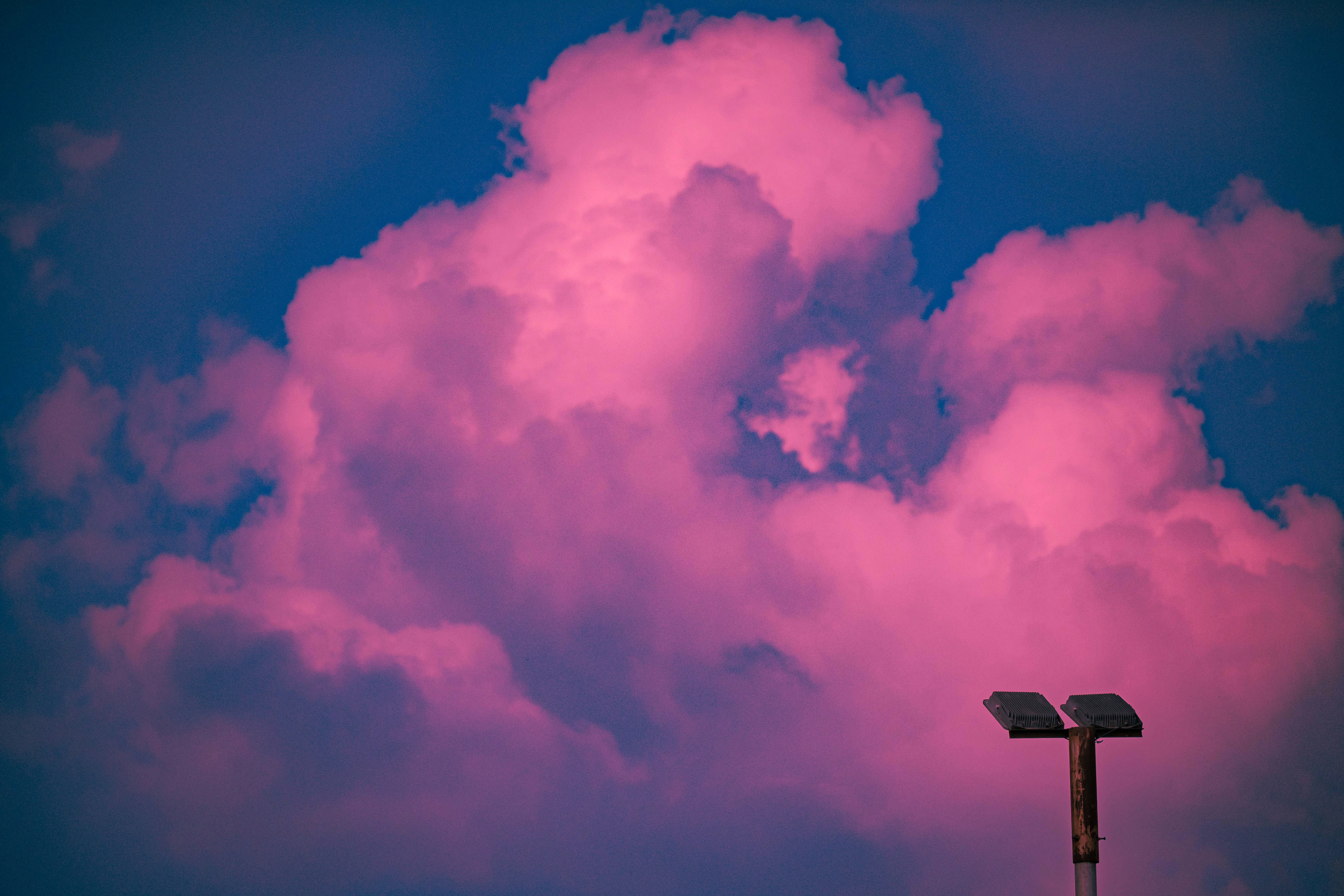 a bright pink cloud looms over a street light