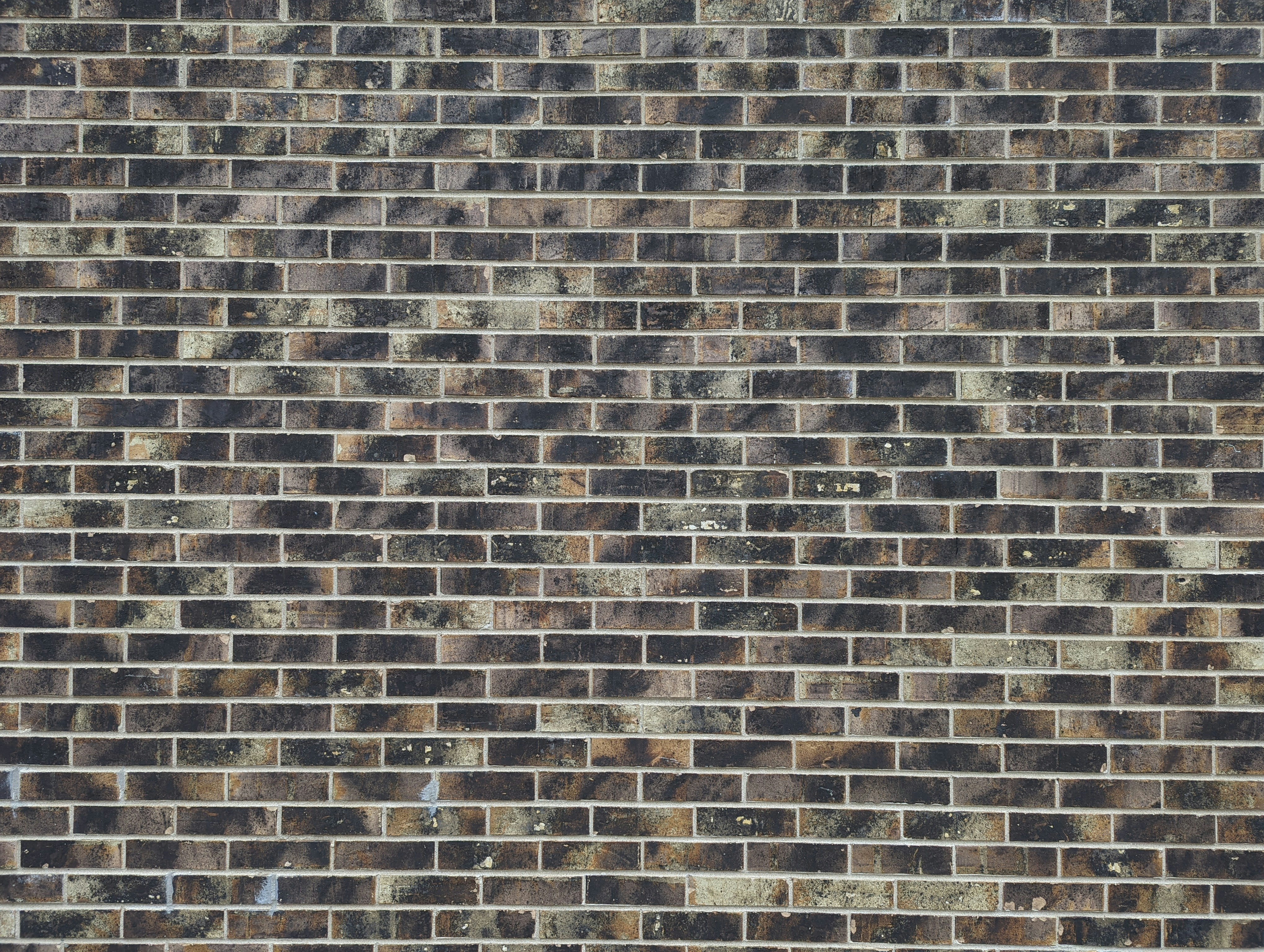 Photo by darkersolstice