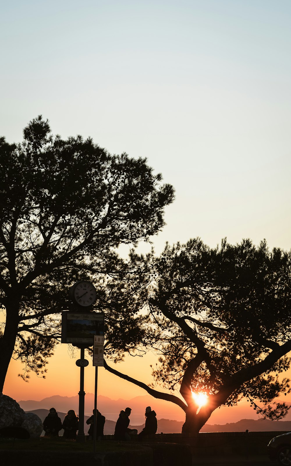 a group of people sitting under a tree at sunset