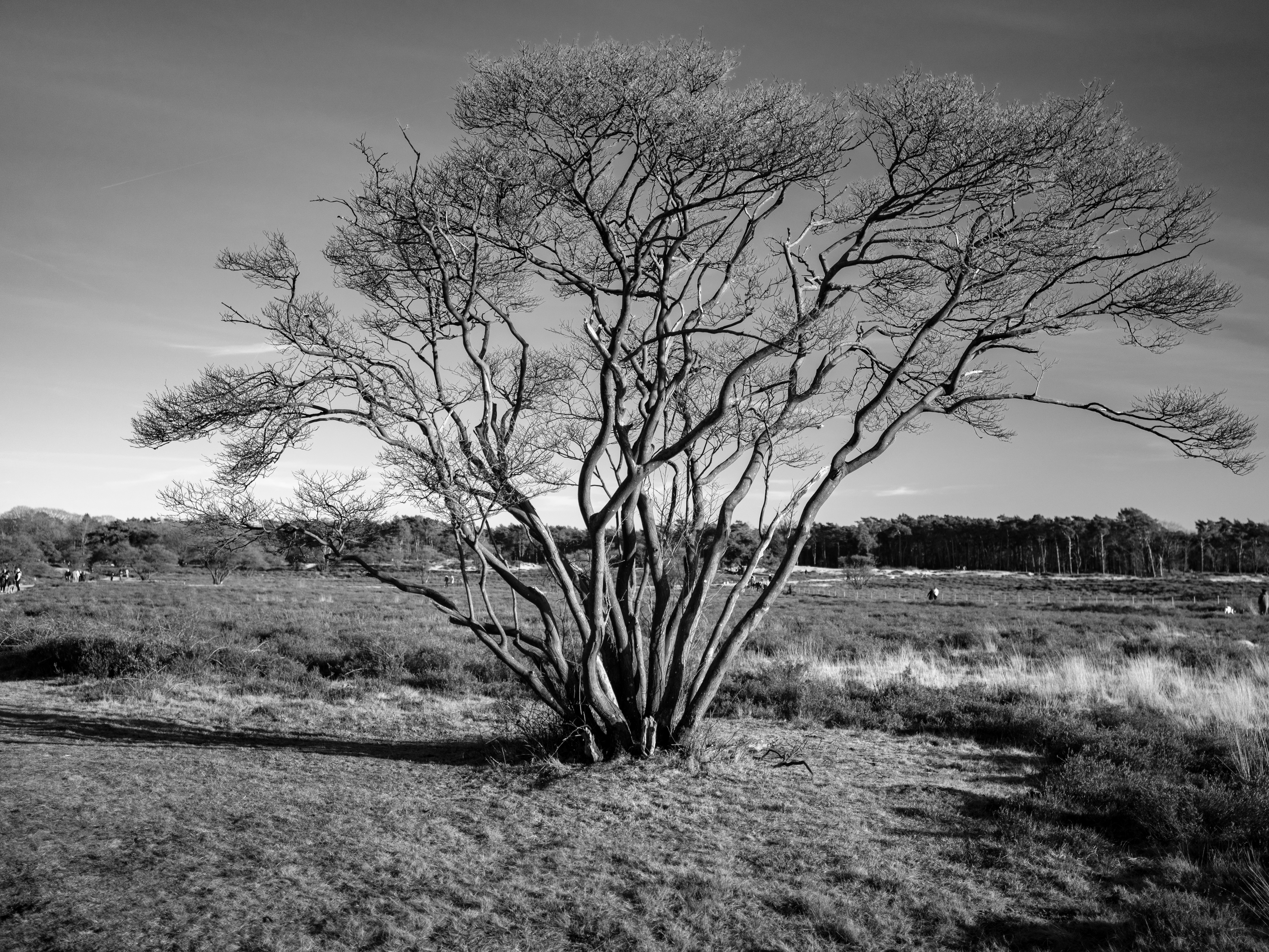 Photo by haberdoedas2