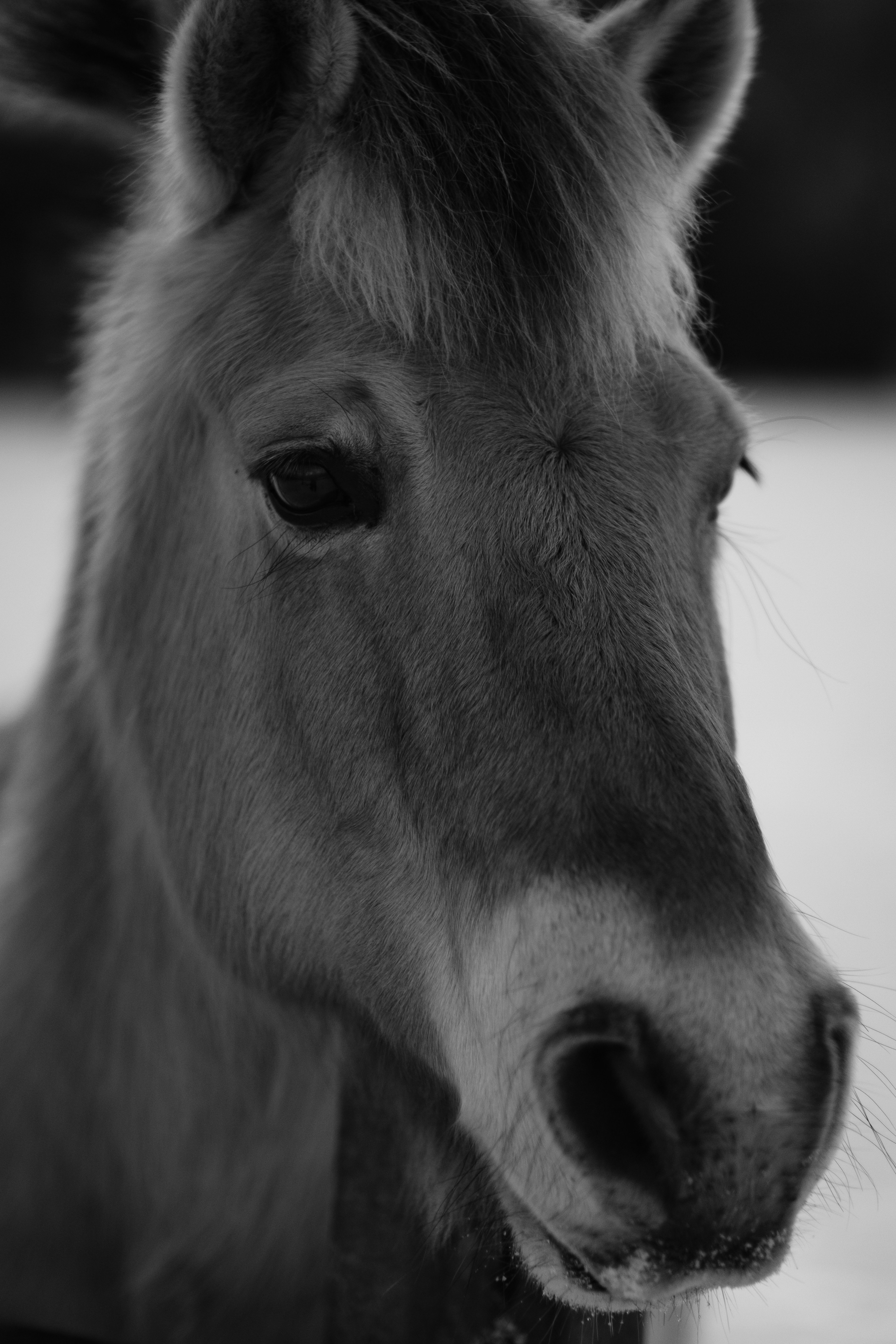 Photo by haberdoedas2