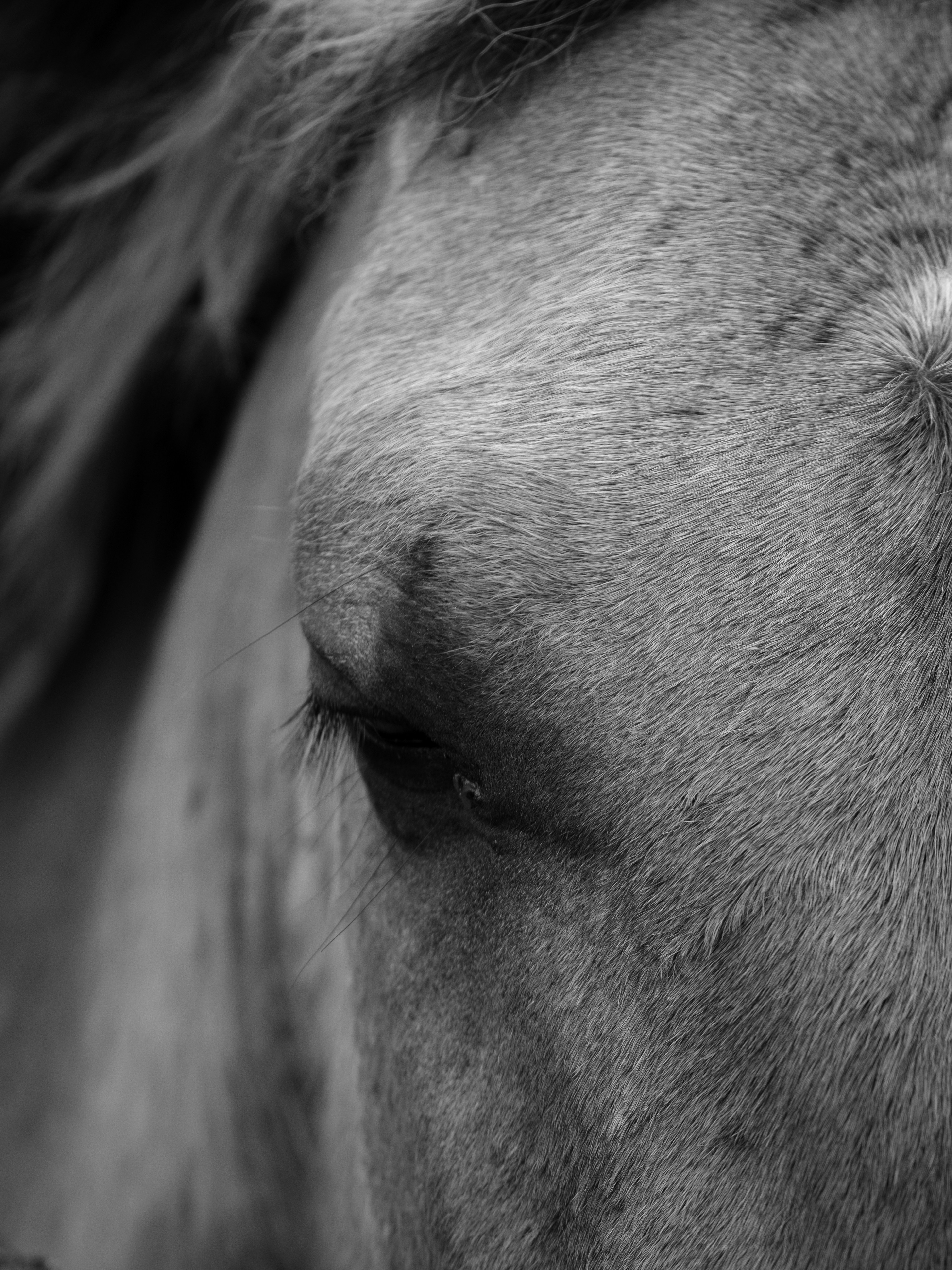 Photo by haberdoedas2