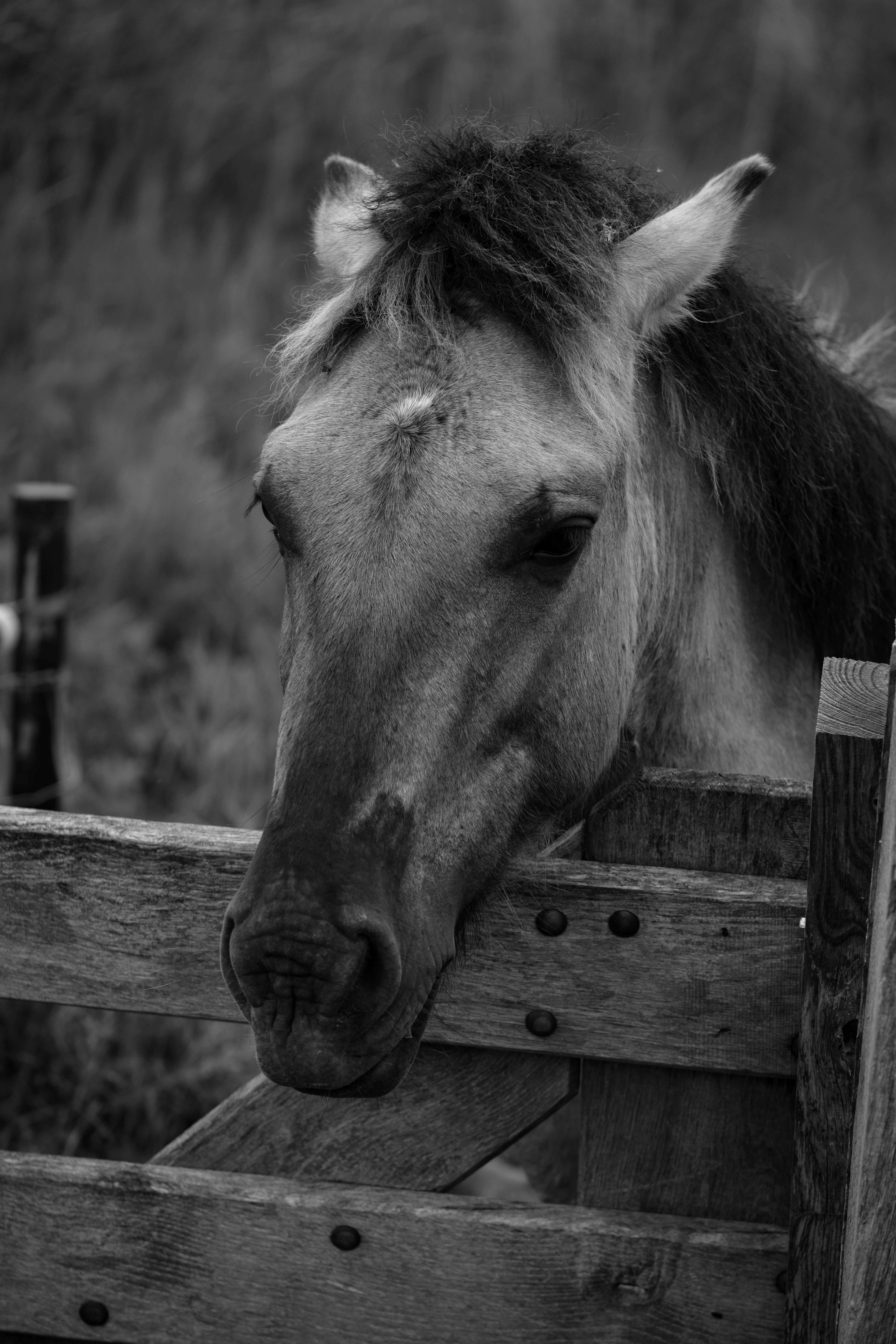 Photo by haberdoedas2