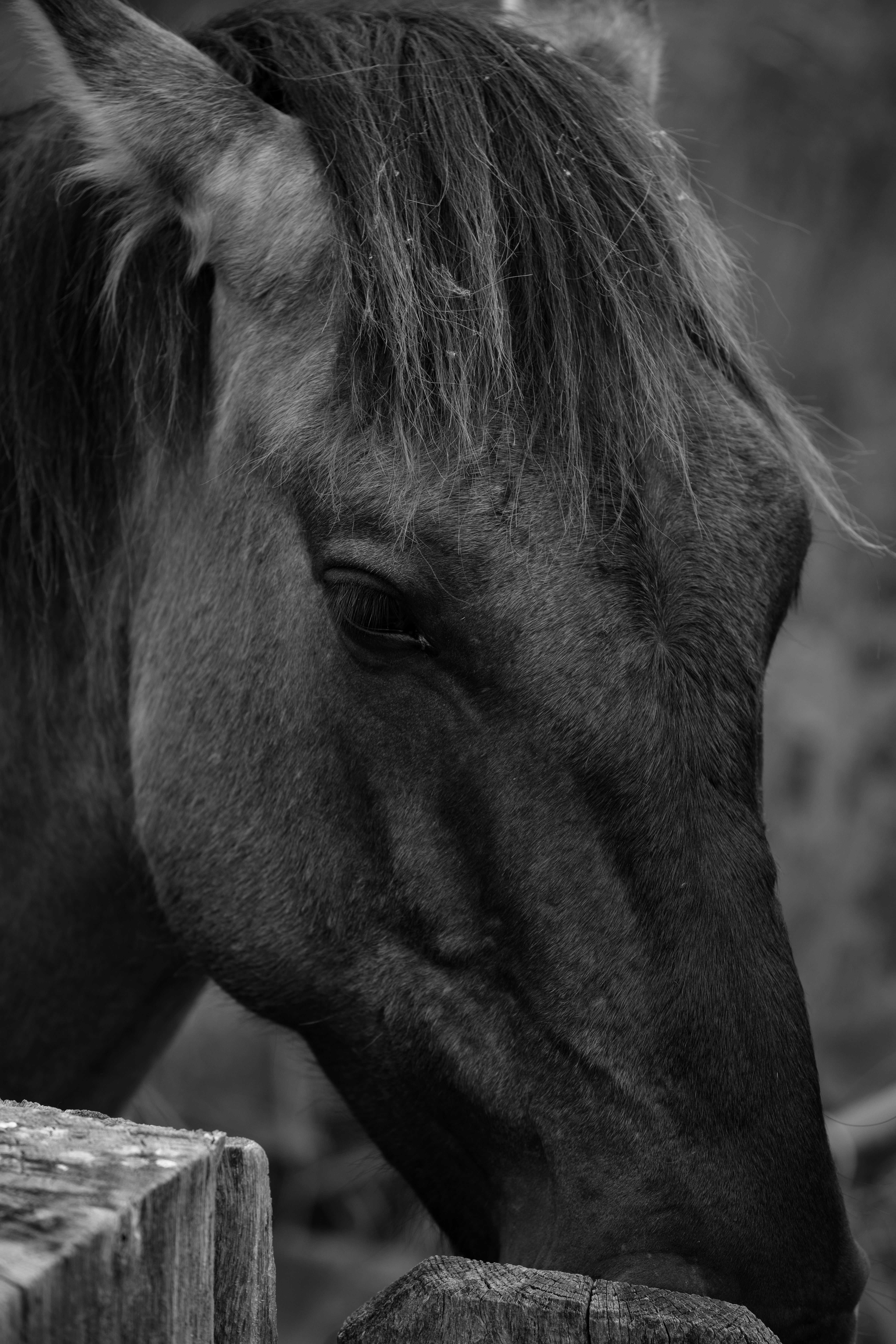 Photo by haberdoedas2