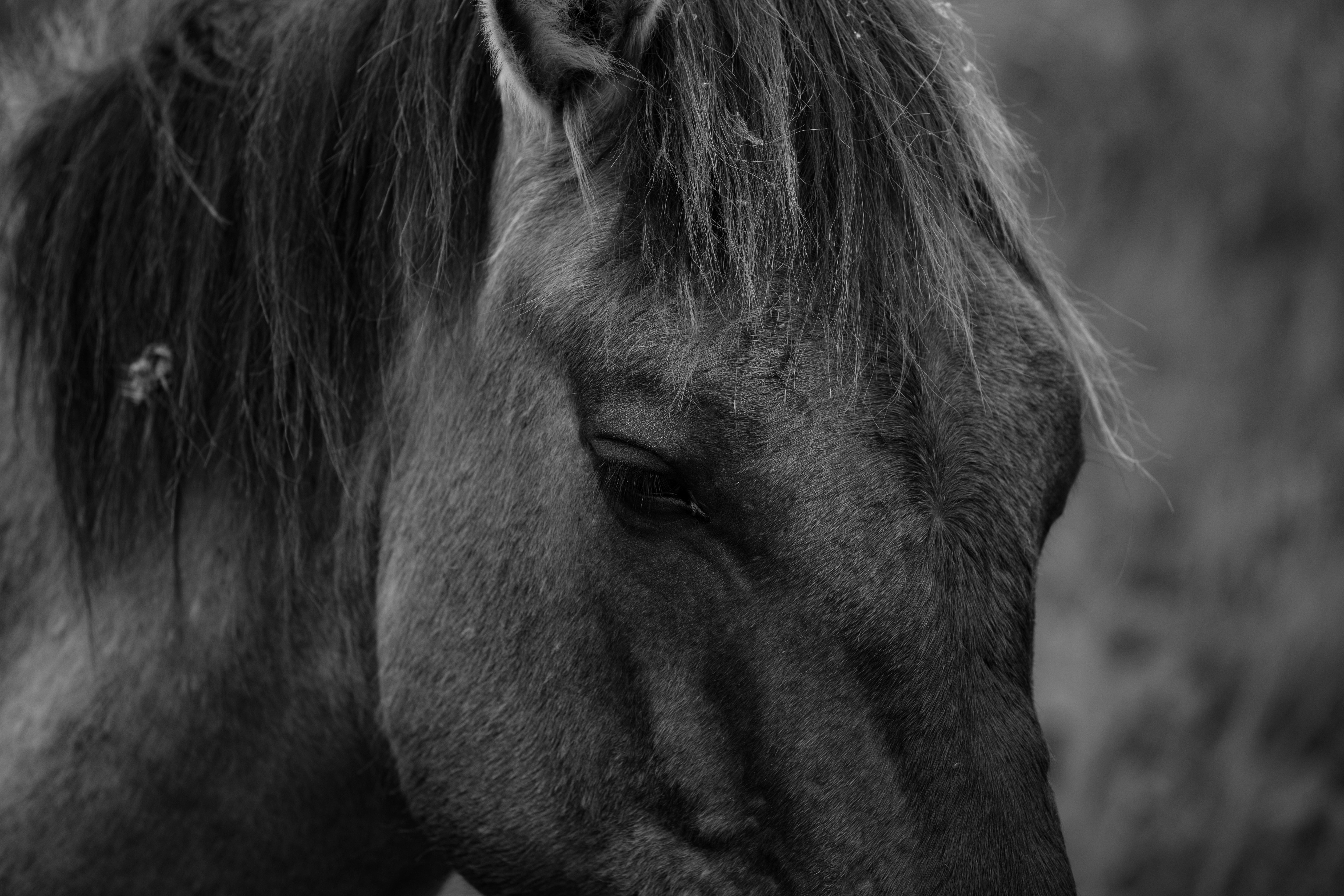 Photo by haberdoedas2