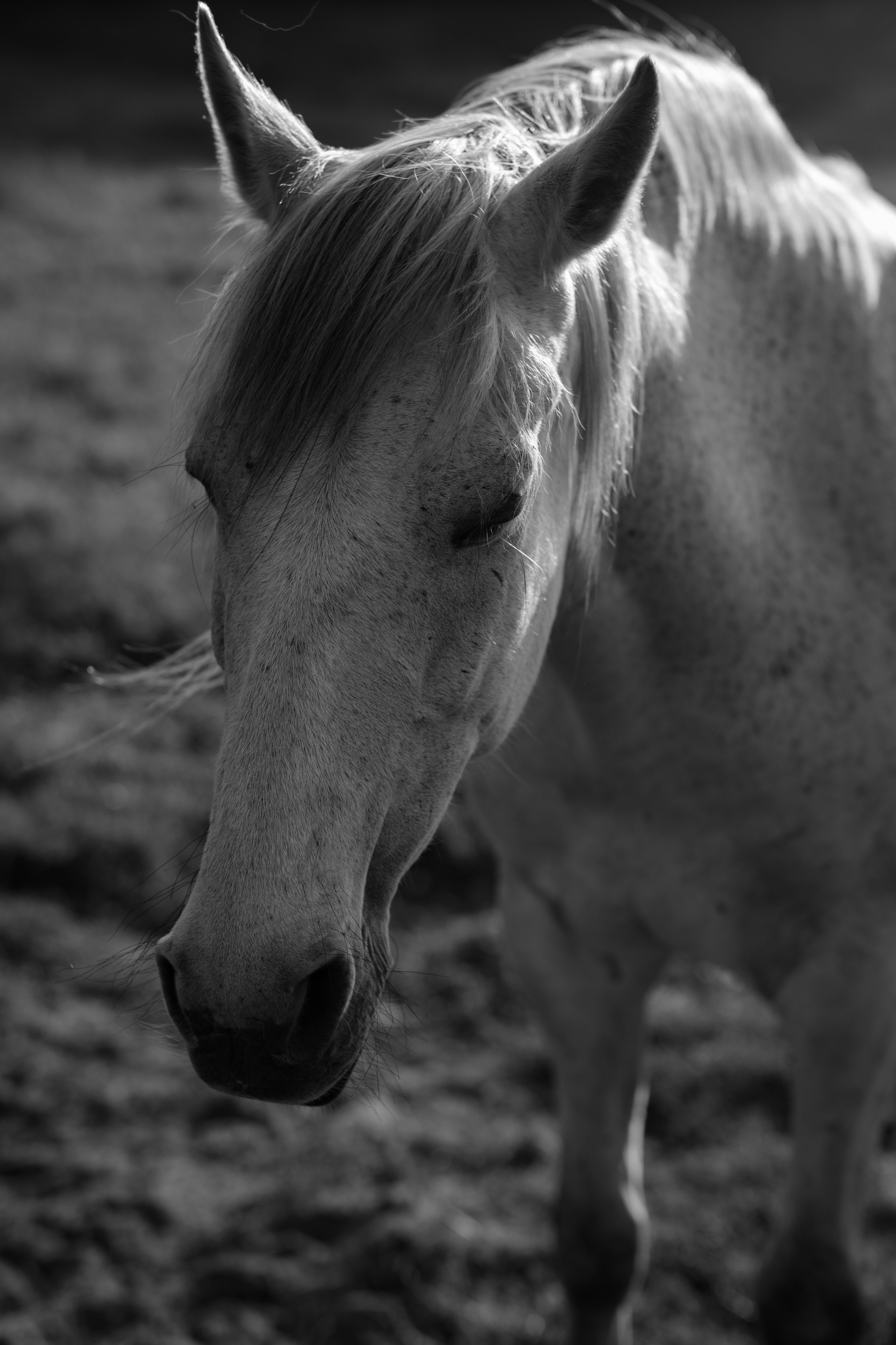 Photo by haberdoedas2