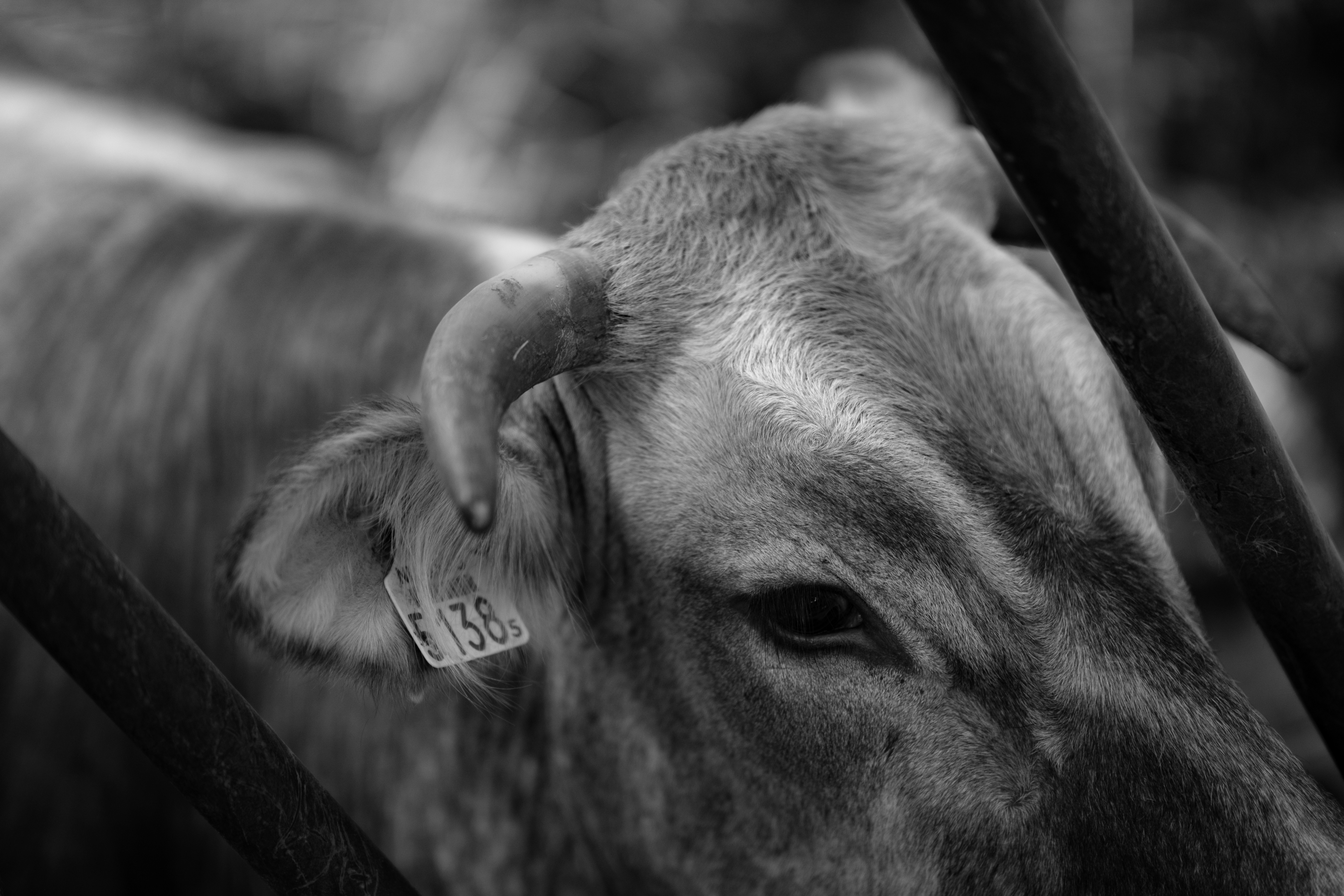 Photo by haberdoedas2