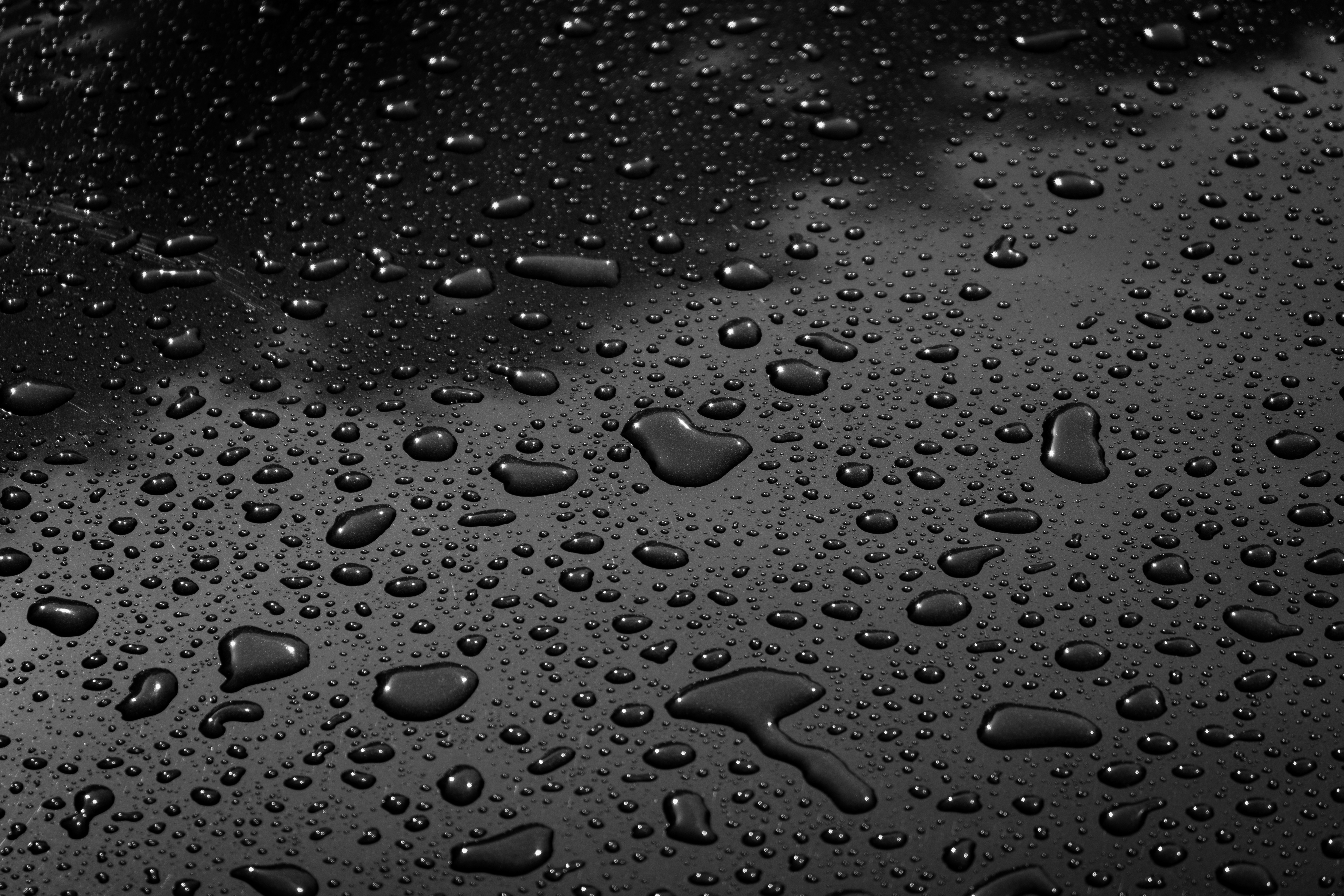 Photo by haberdoedas2