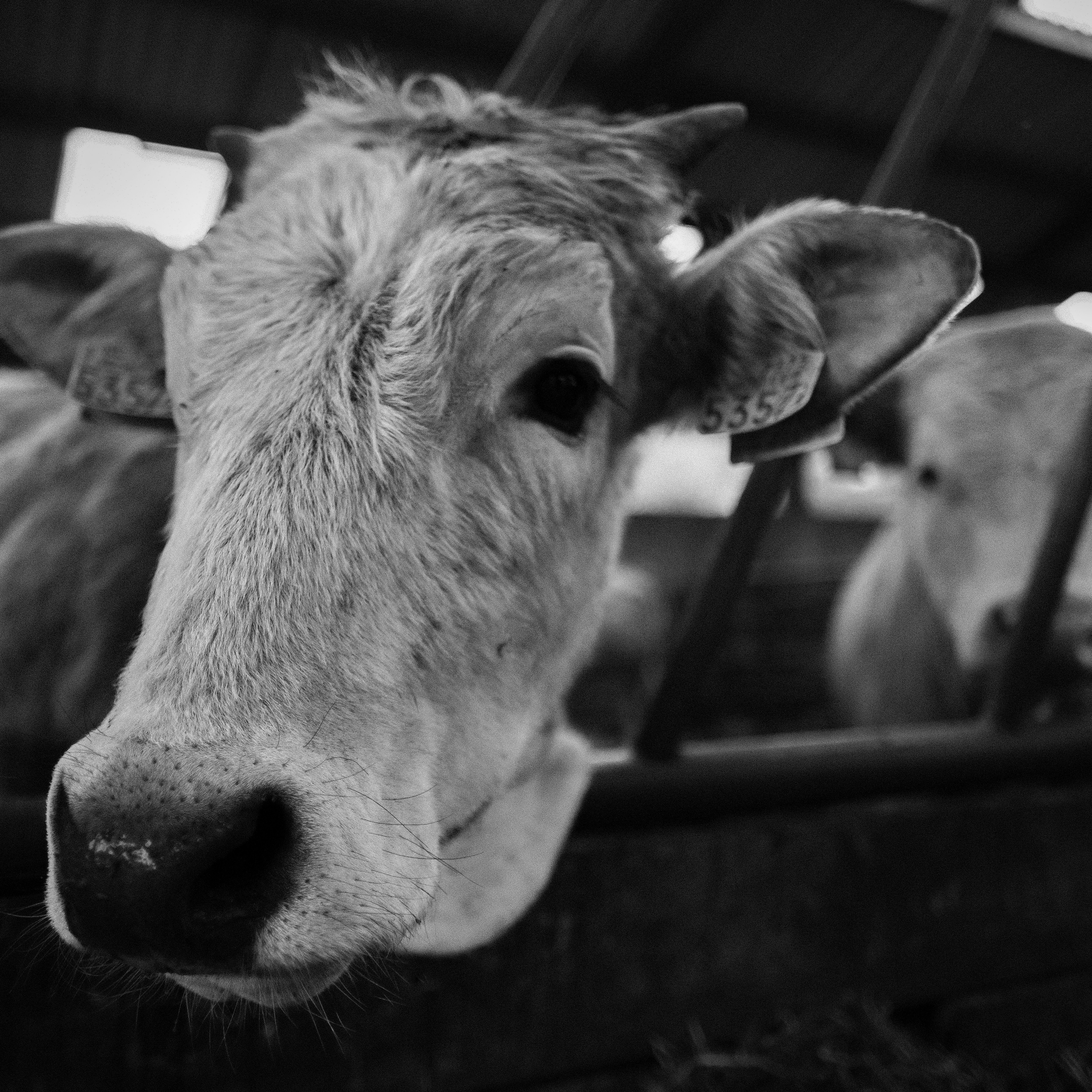 Photo by haberdoedas2