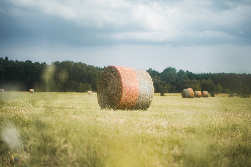 hay bales in a field with trees in the background