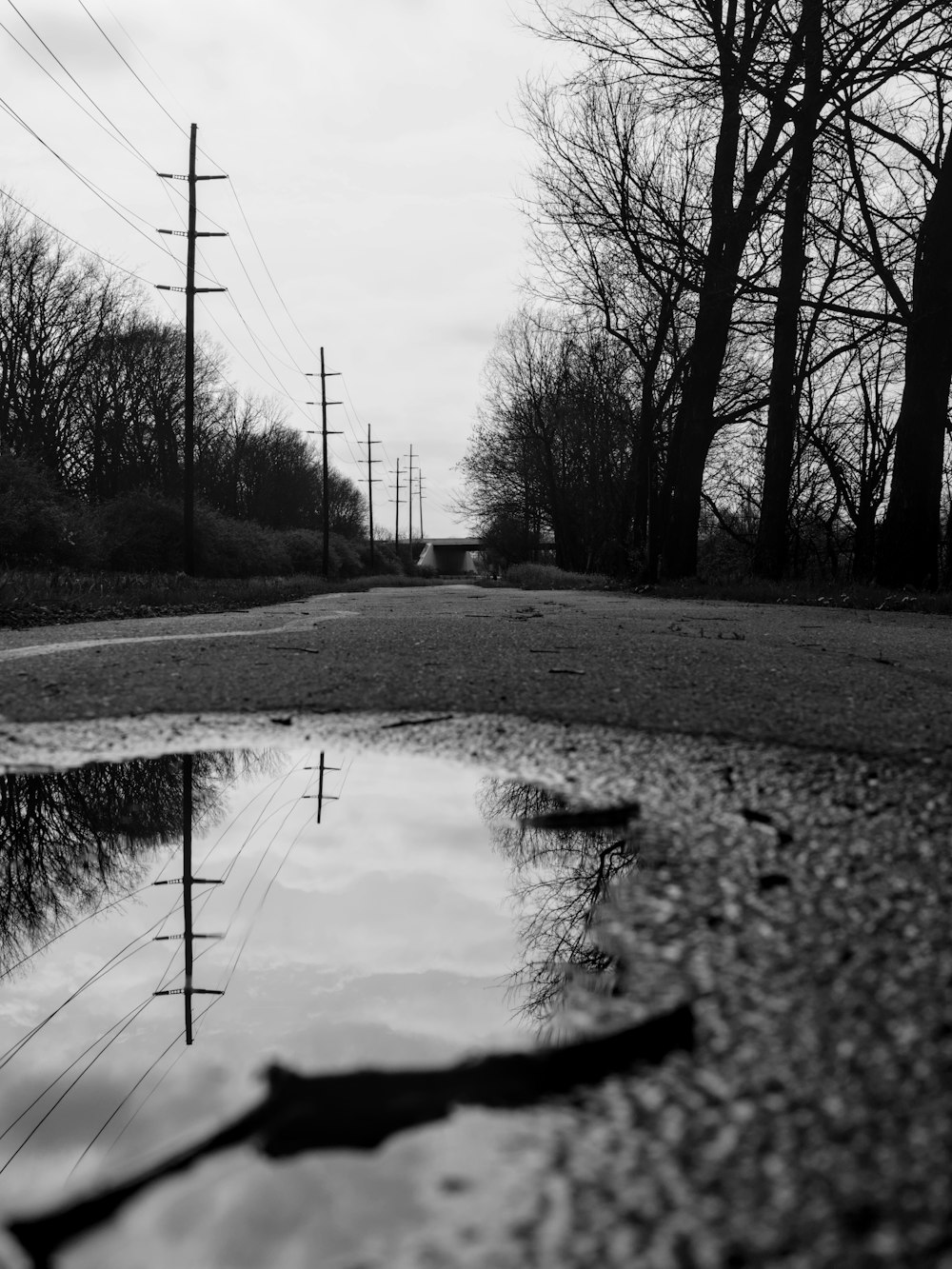 a puddle of water sitting on the side of a road