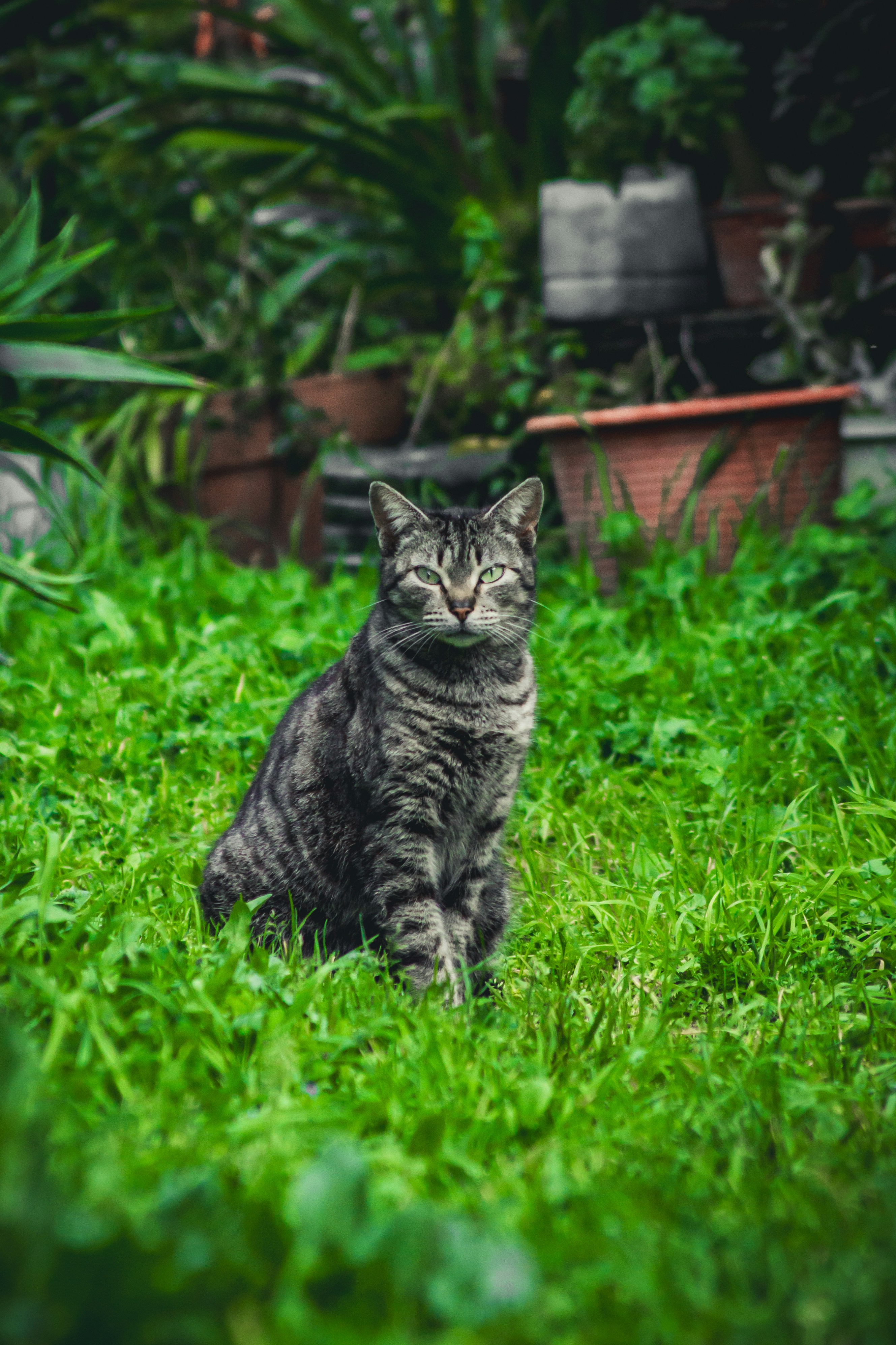 Photo by diogocardoso28