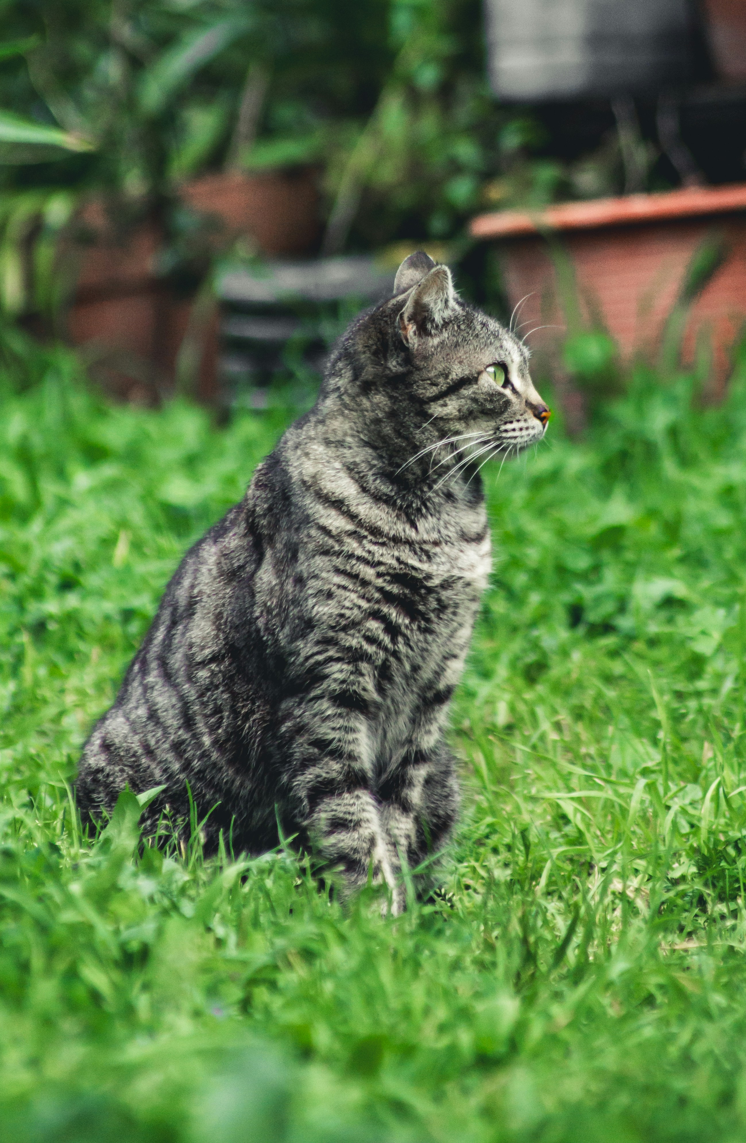 Photo by diogocardoso28