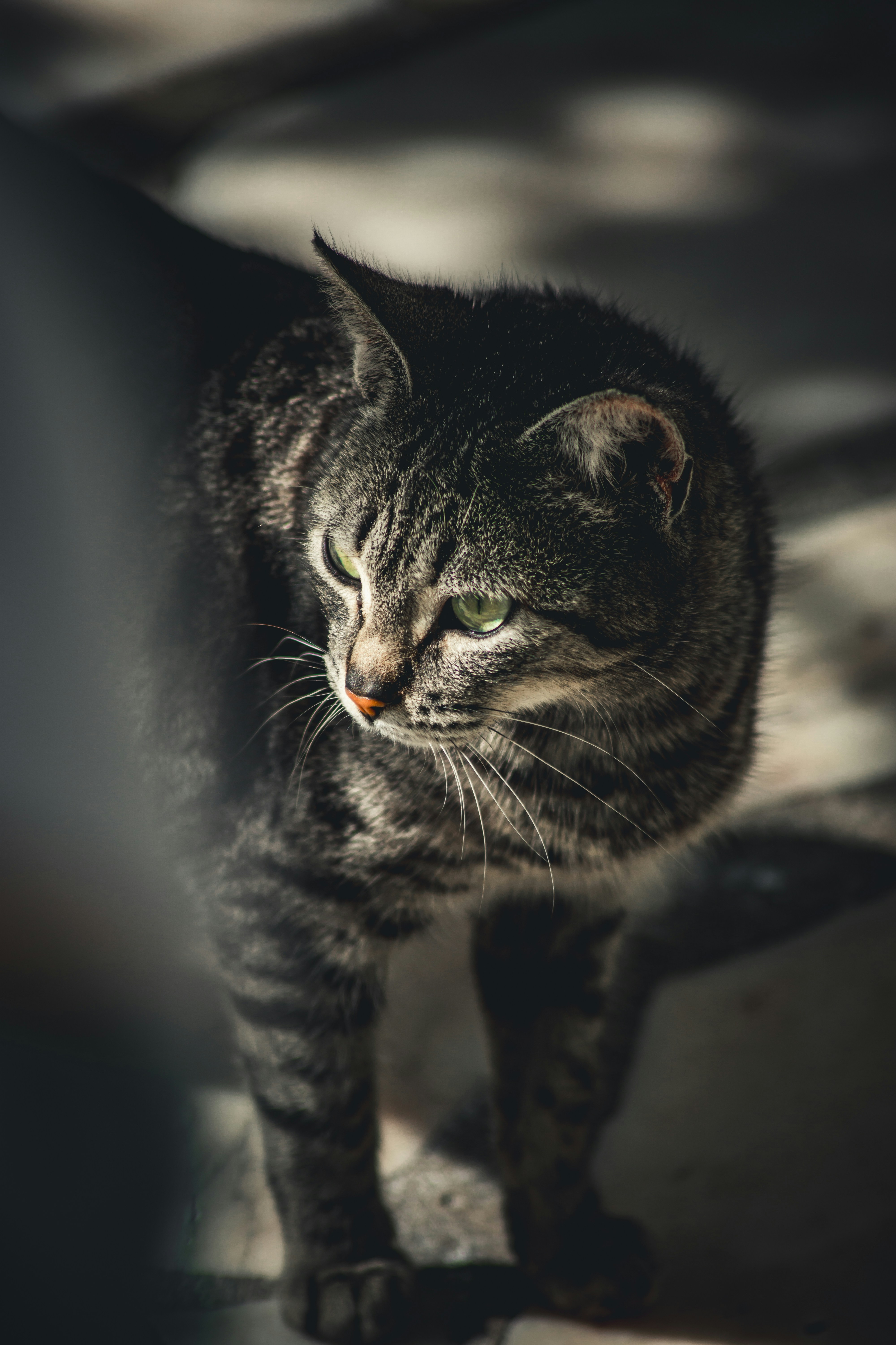 Photo by diogocardoso28