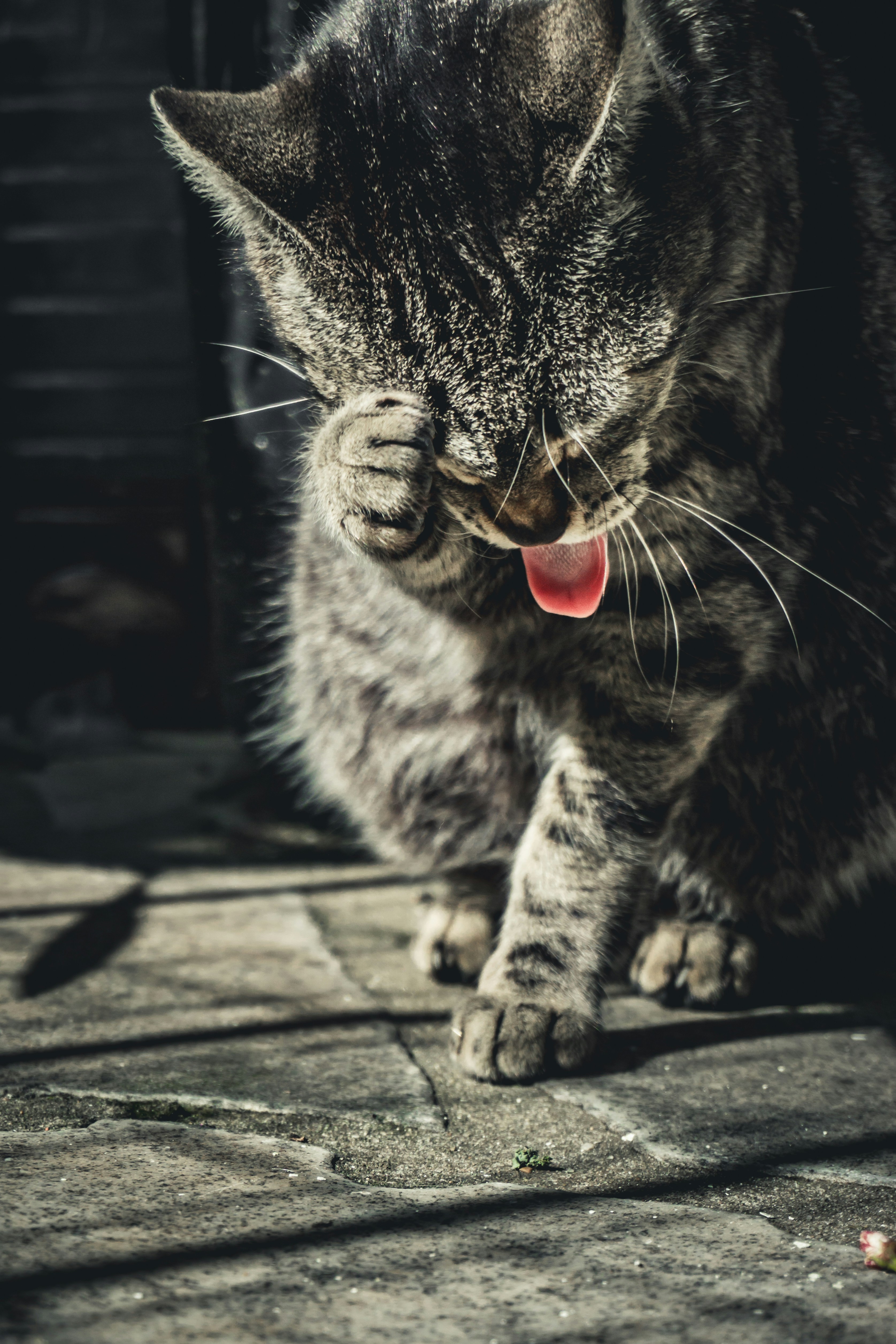 Photo by diogocardoso28