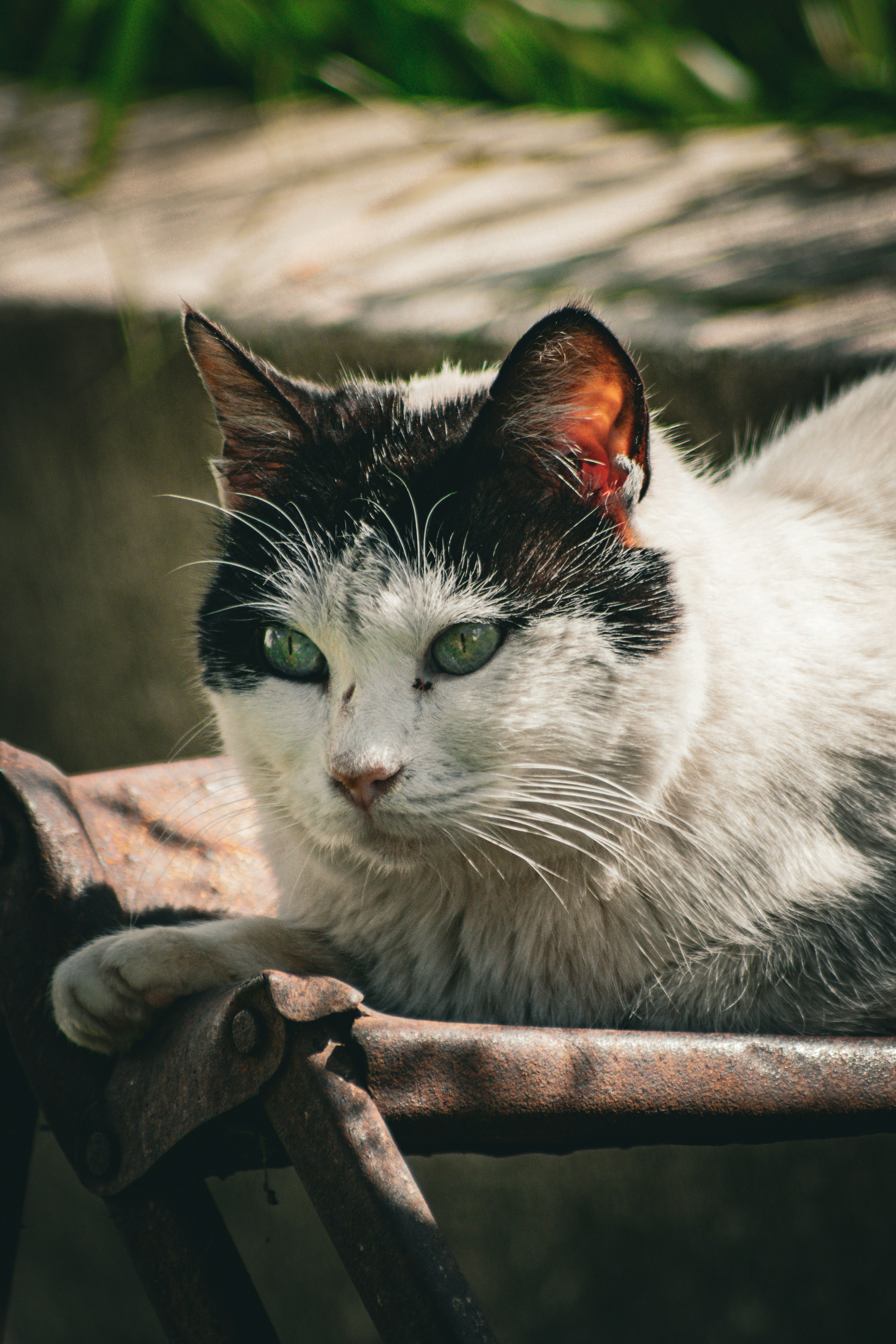 Photo by diogocardoso28