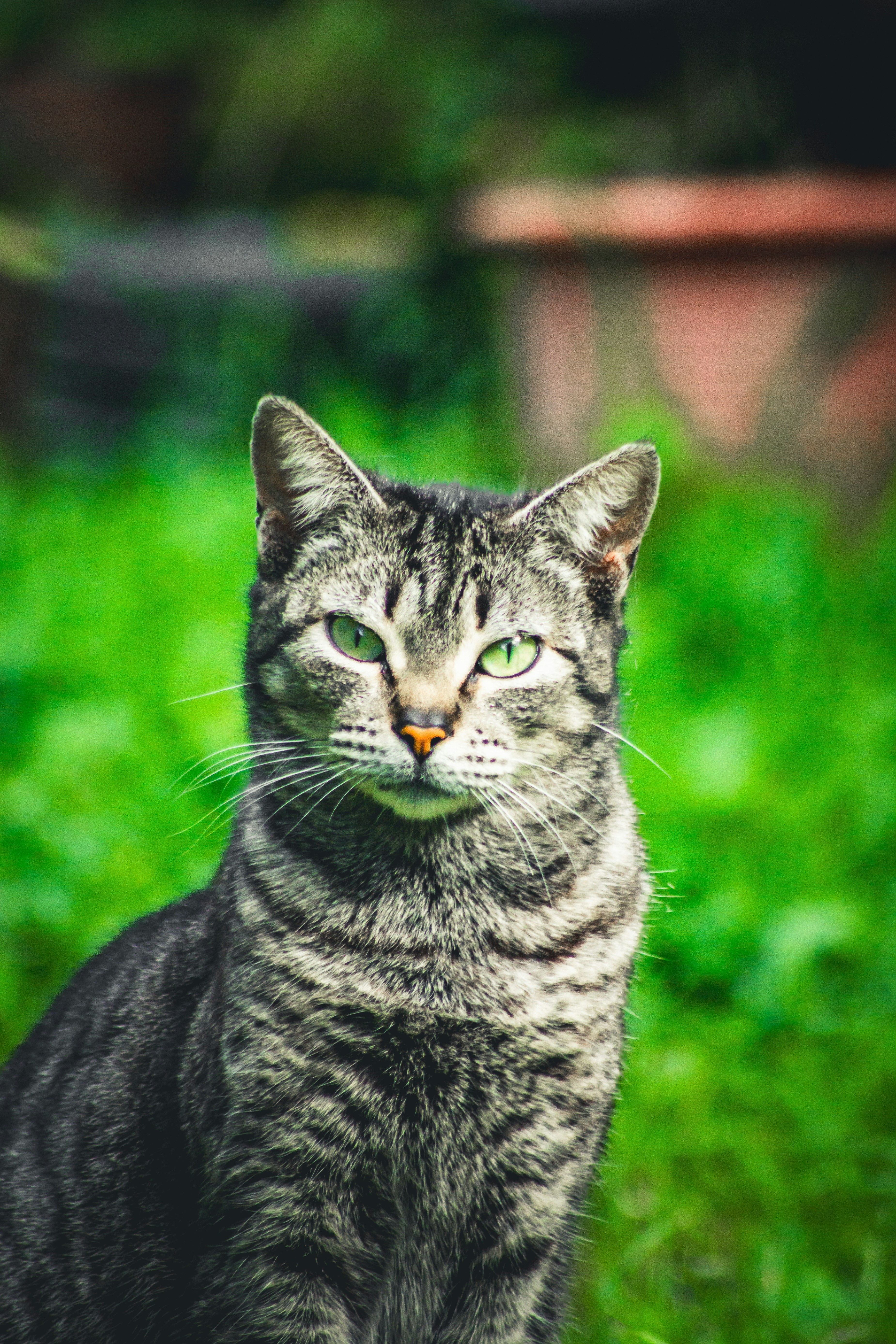 Photo by diogocardoso28