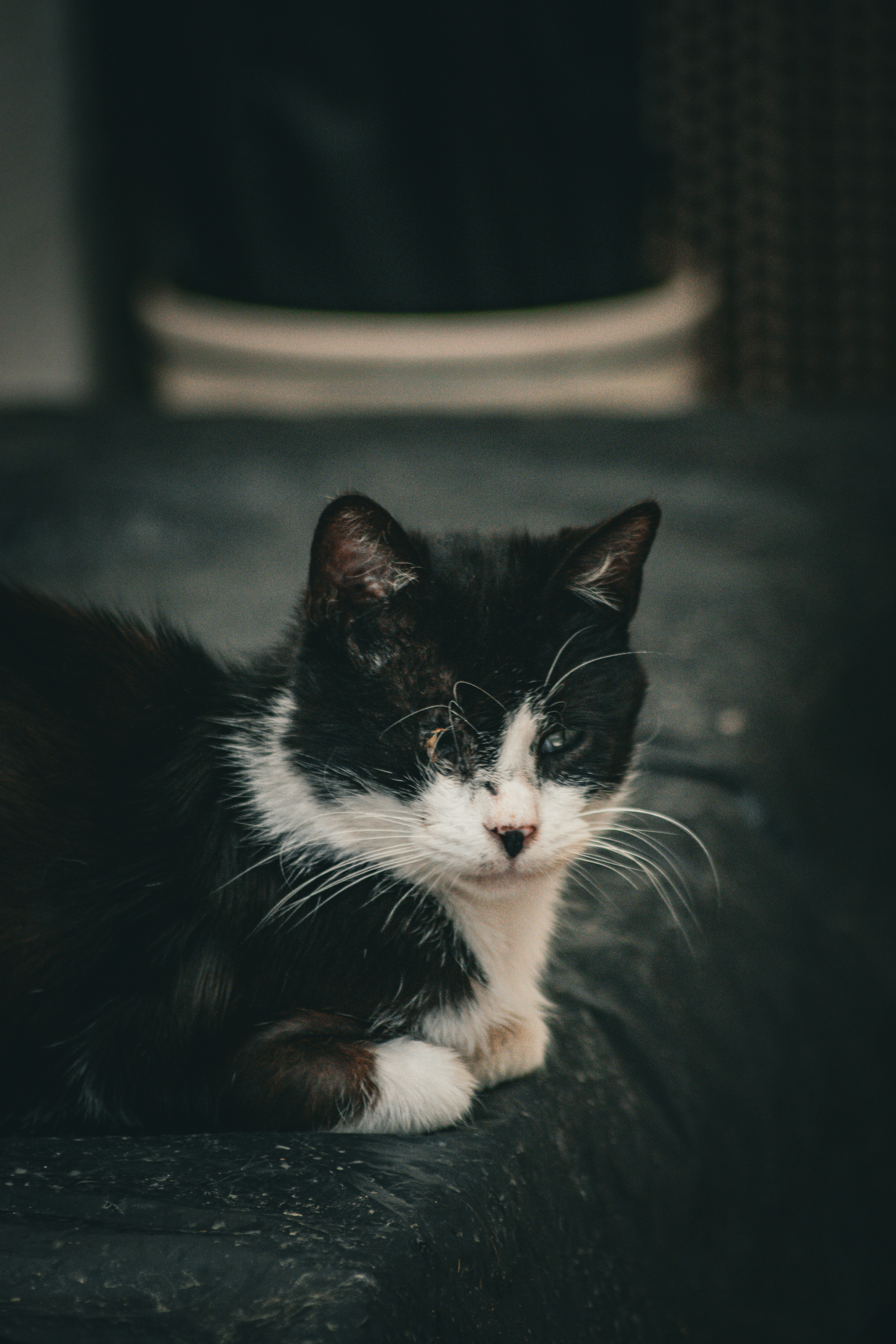 Photo by diogocardoso28