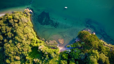 an aerial view of a lake surrounded by trees