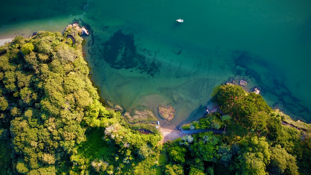 an aerial view of a lake surrounded by trees