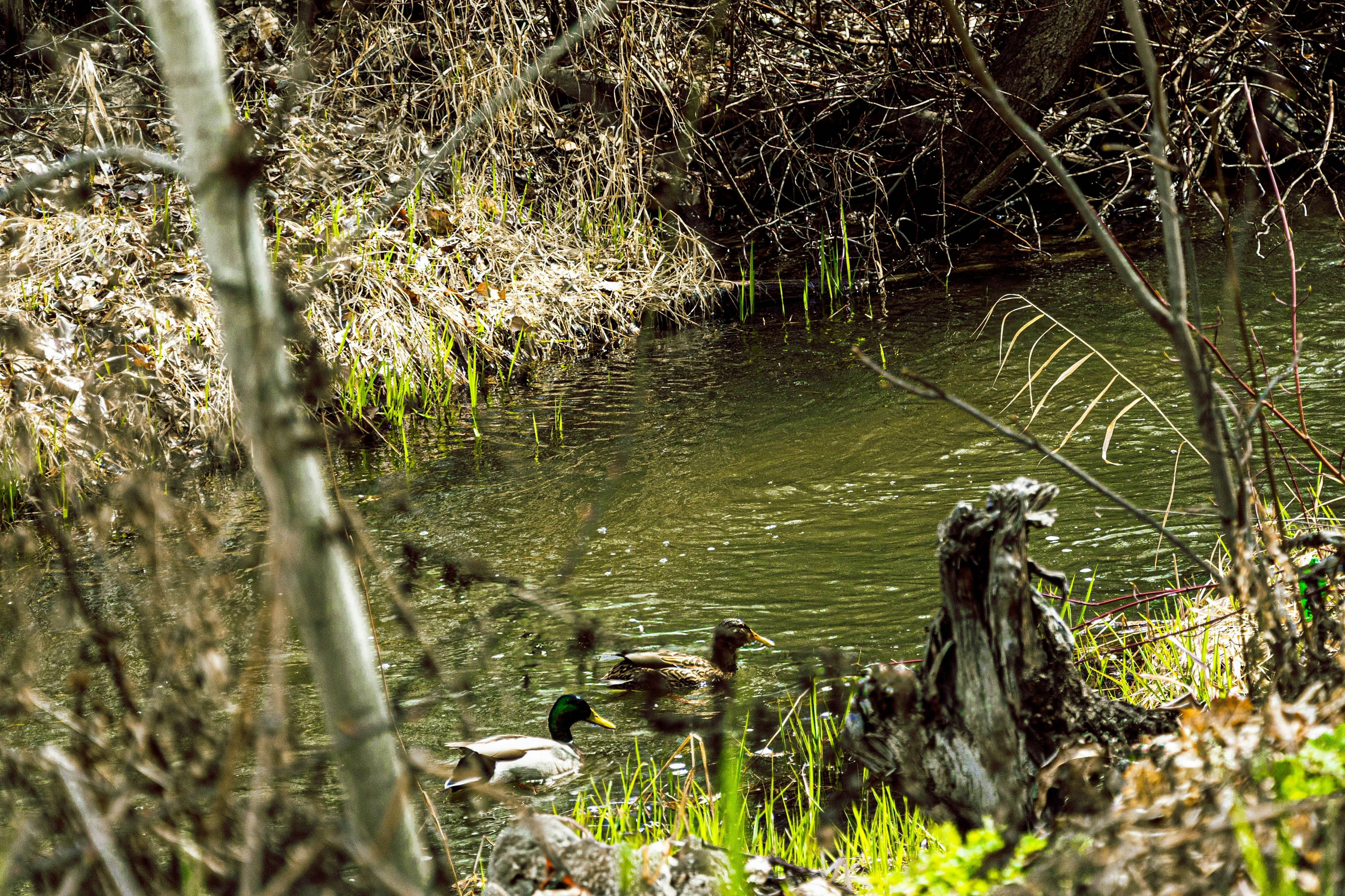 Photo by cartermo_08