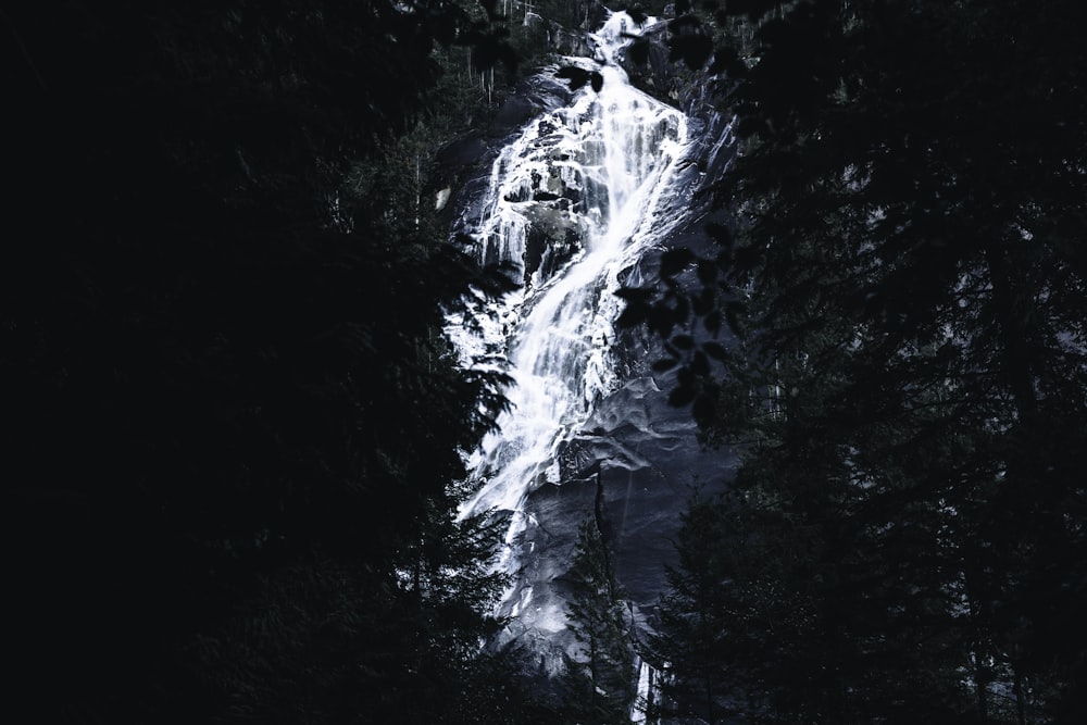 a waterfall in the middle of a forest