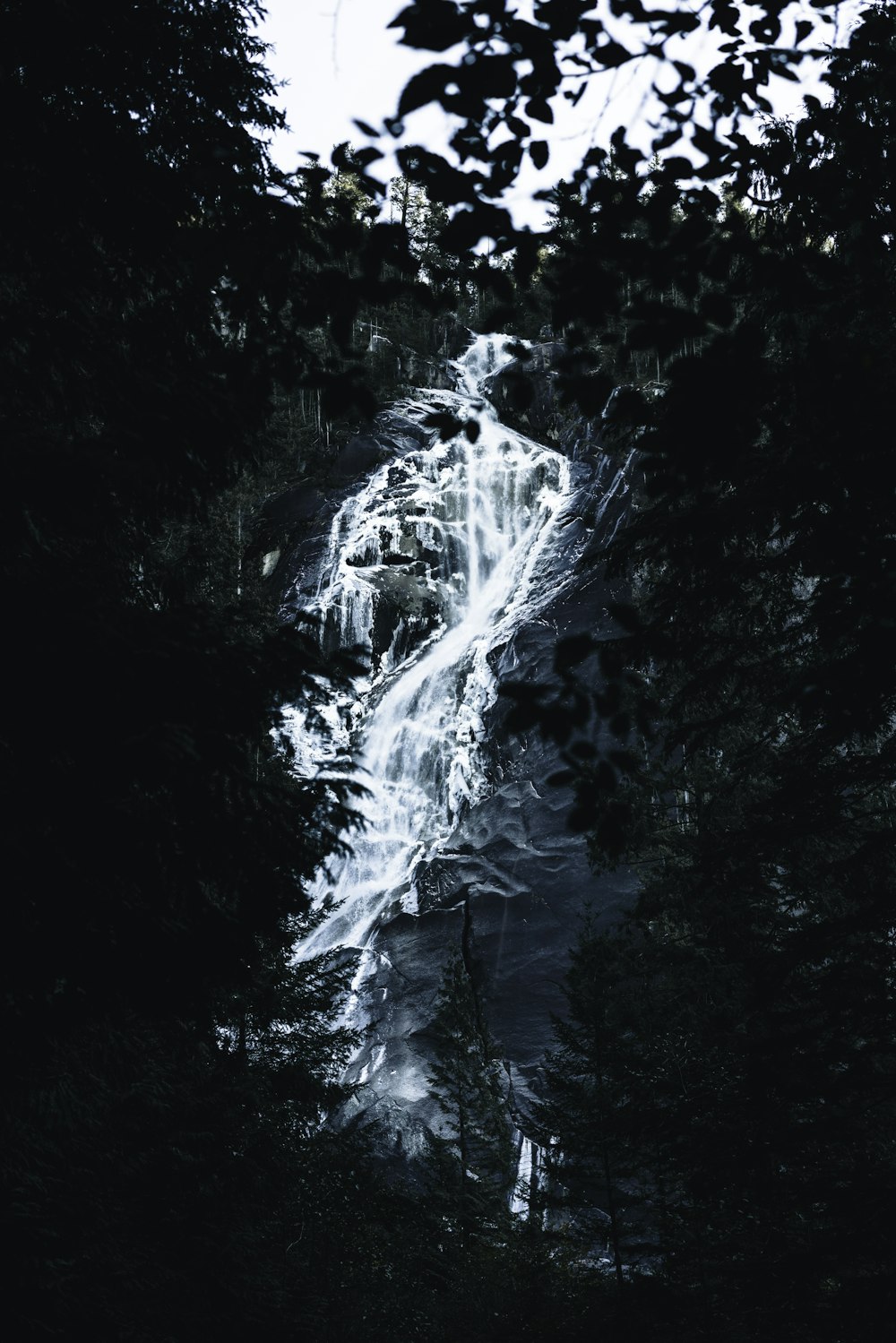 a waterfall in the middle of a forest