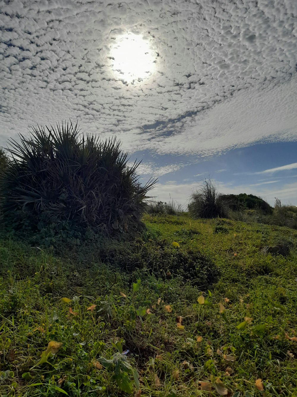 the sun is shining through the clouds over a grassy field