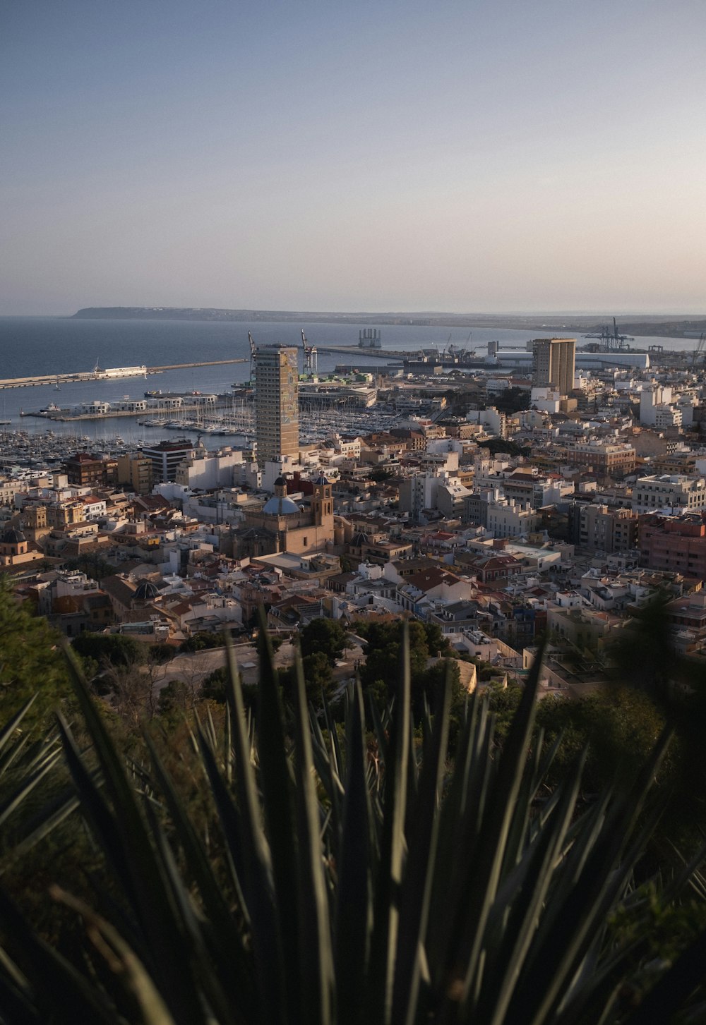 a view of a city and a body of water