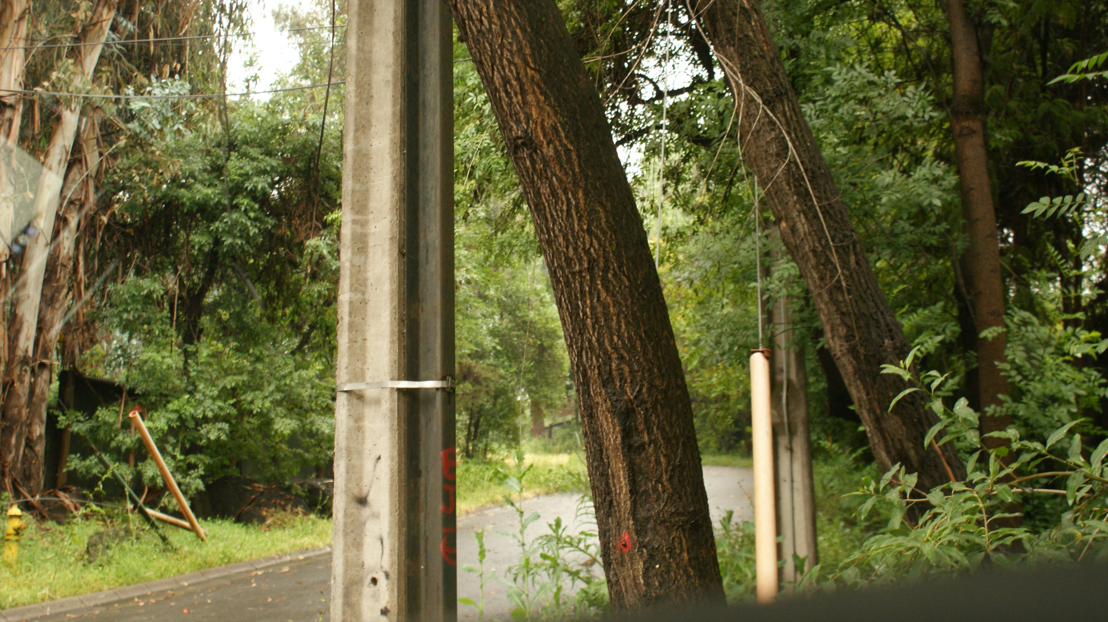 a stop sign on the side of a road