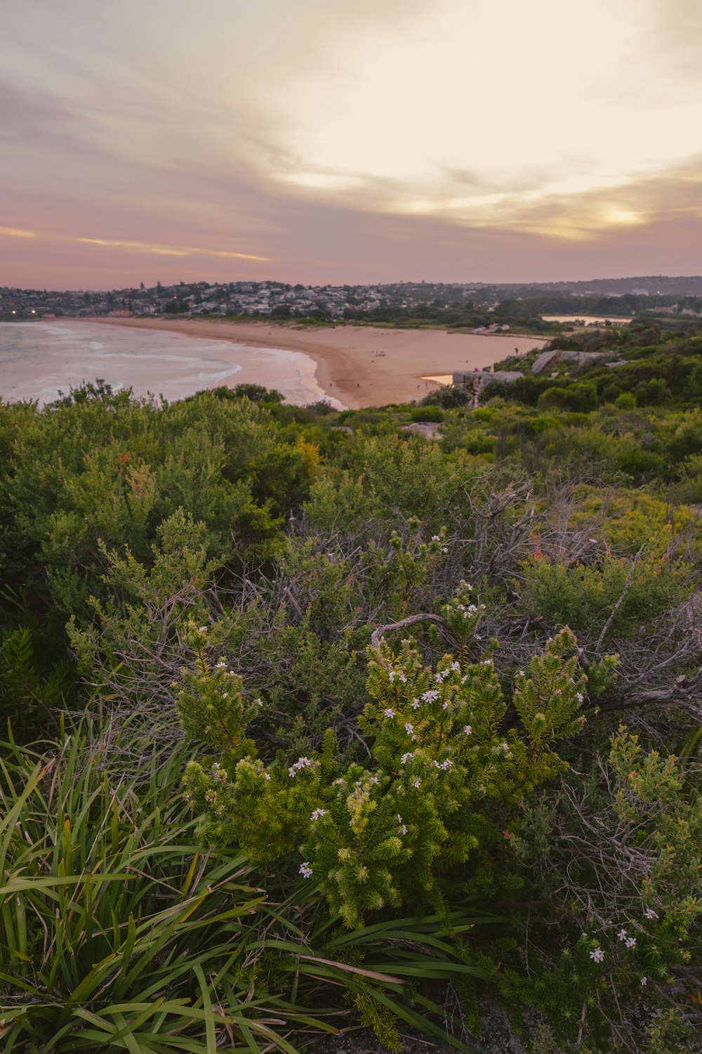 a view of a beach and a body of water