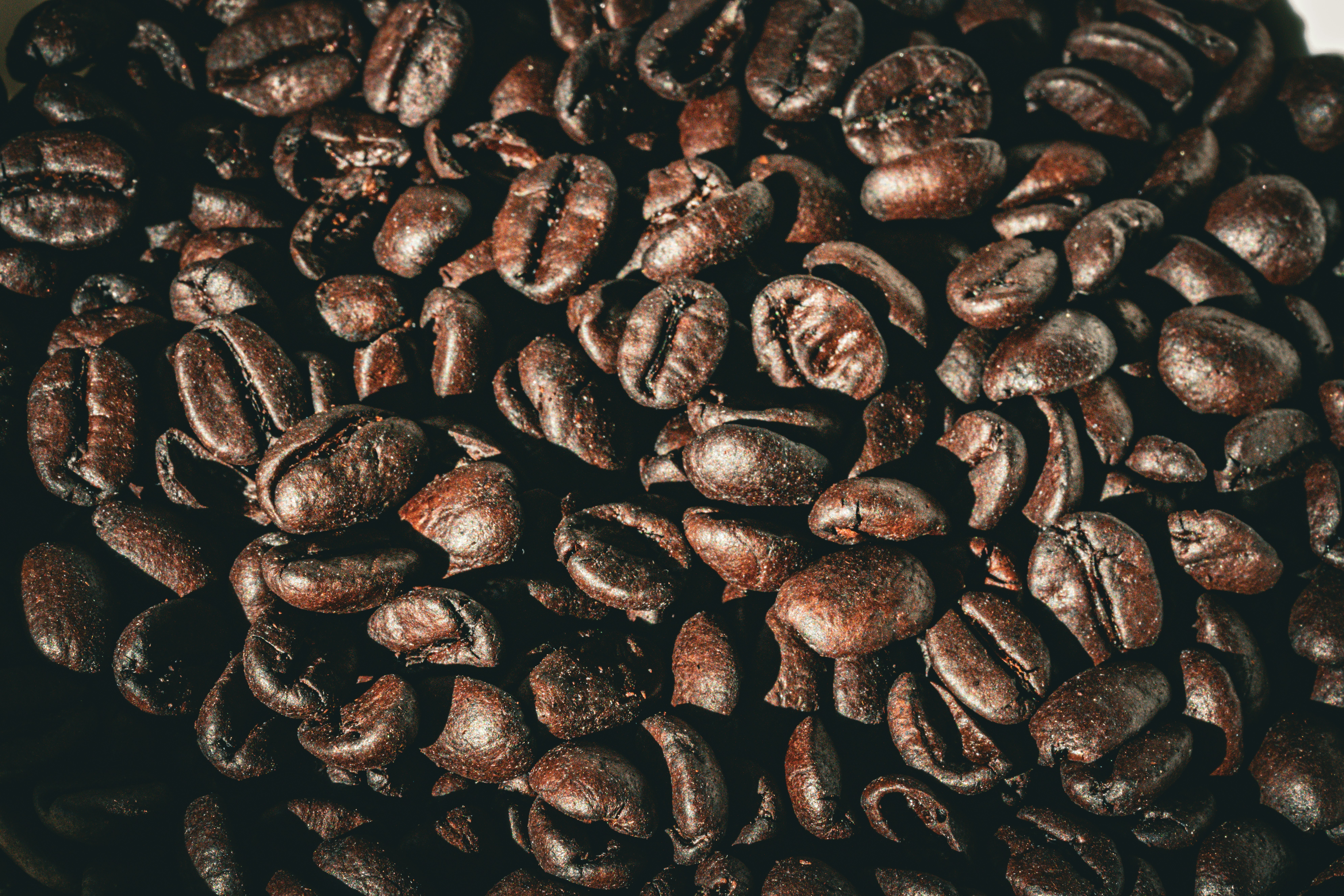 https://images.unsplash.com/photo-1712106319264-145c3b3b7d52?ixid=M3w2MjYzNjJ8MHwxfHNlYXJjaHwyfHxjb2ZmZWUlMjBjaGFpbnN8ZW58MHwwfHx8MTc1MzAwMzgxMHww&ixlib=rb-4.1.0