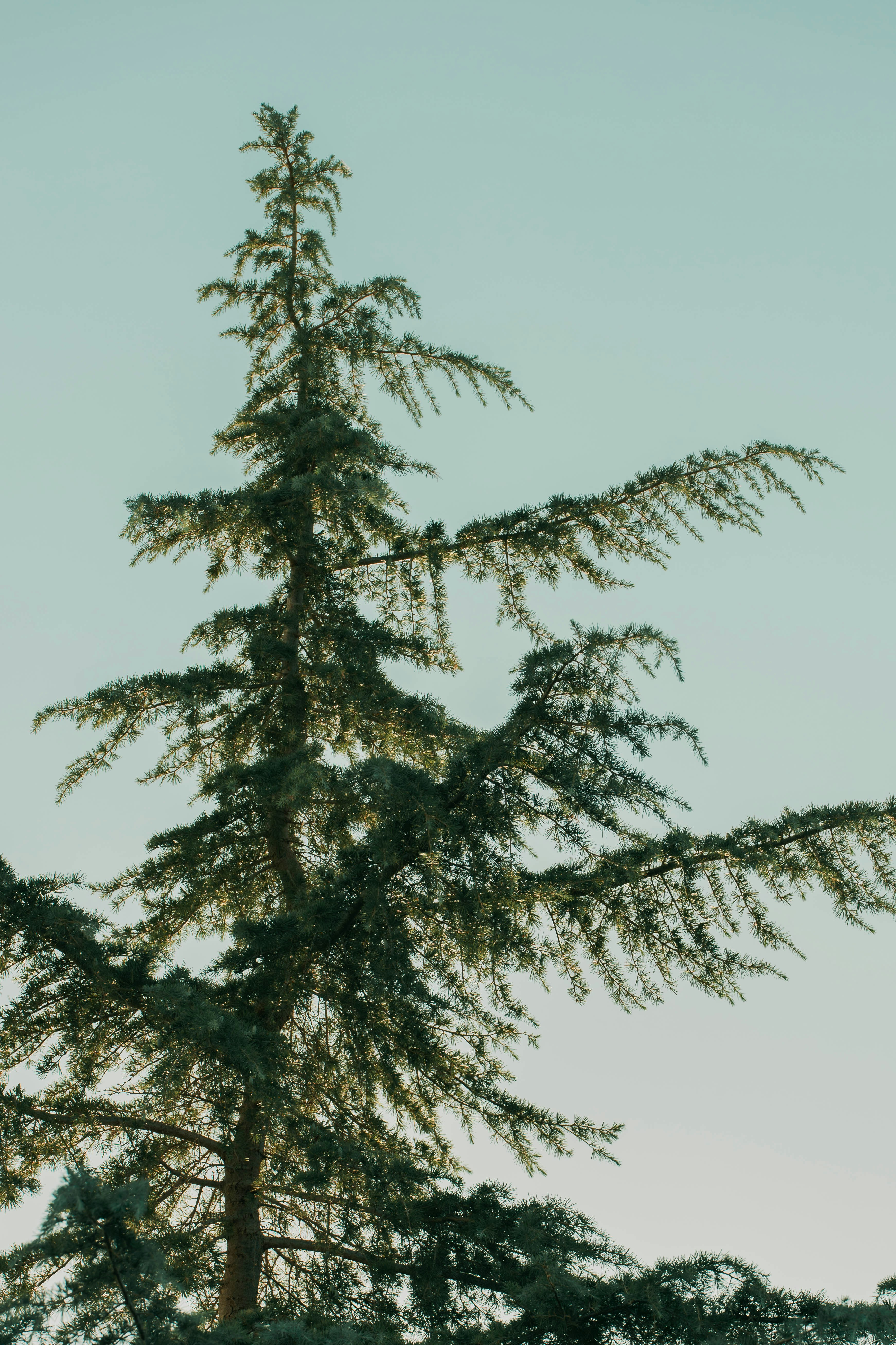 Photo by tricia_anne