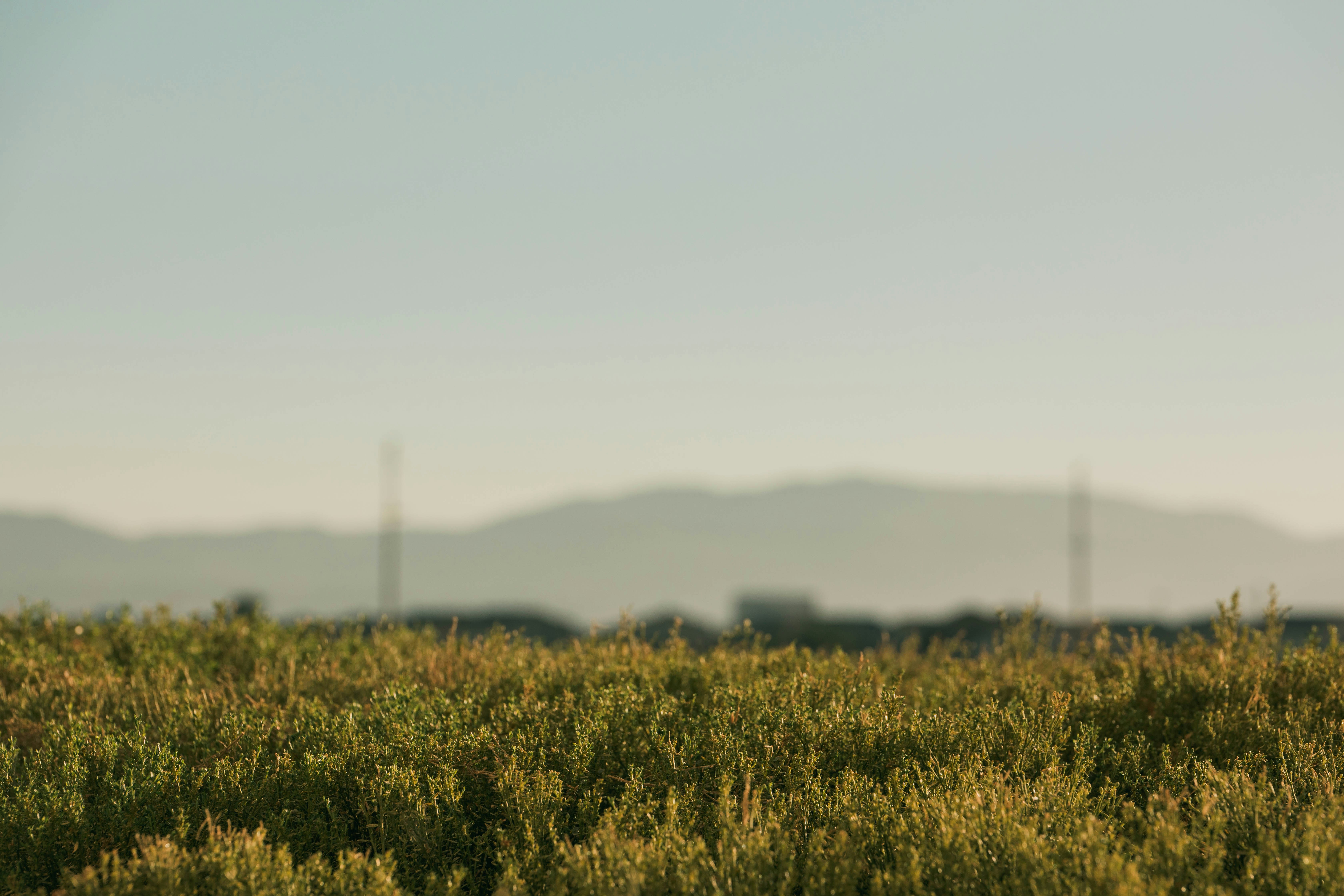 Photo by tricia_anne