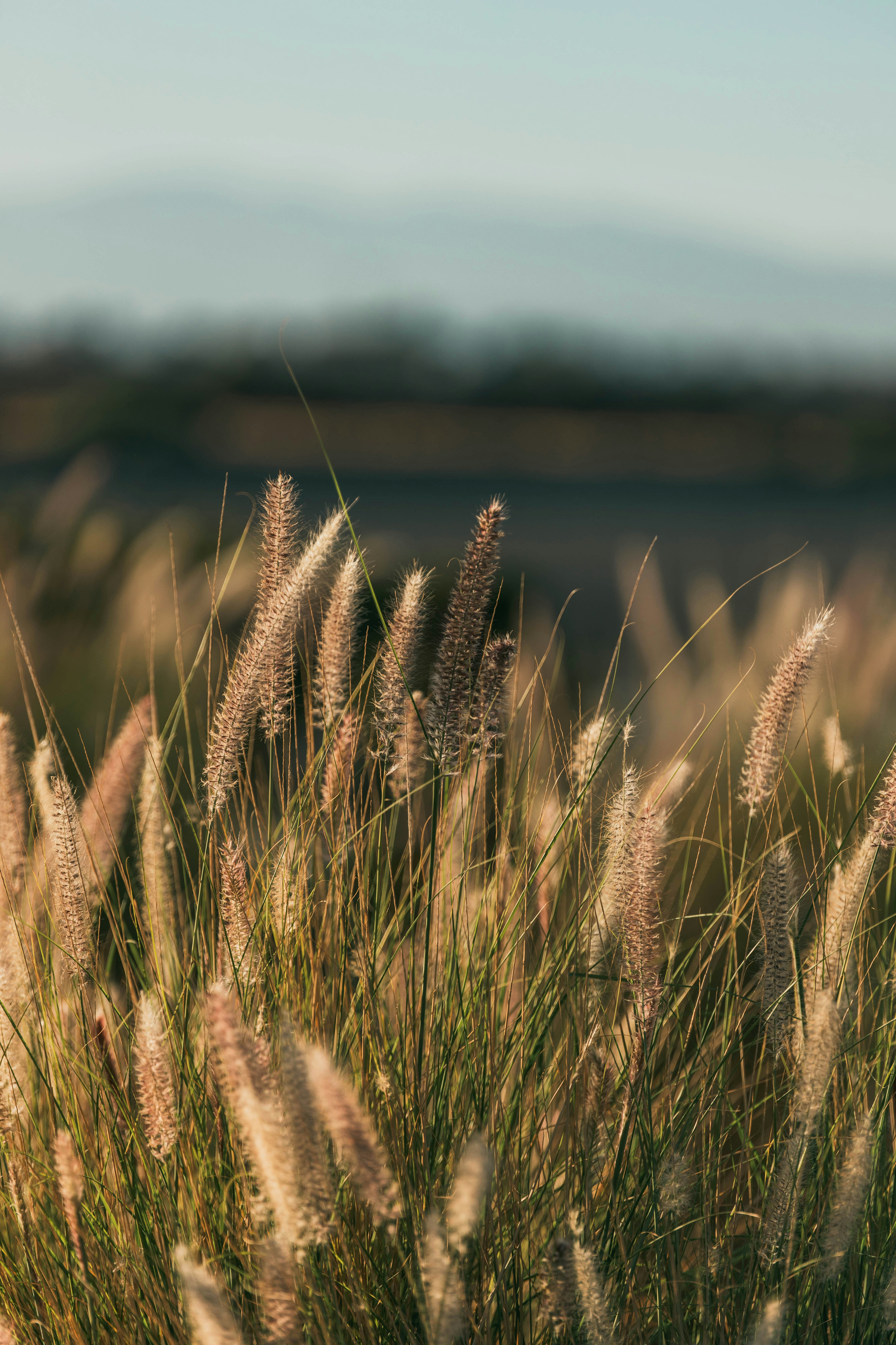 Photo by tricia_anne